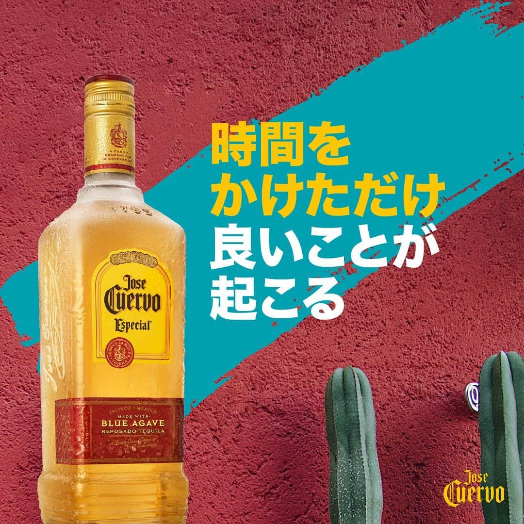 Jose Cuervo Japanさんのインスタグラム写真 - (Jose Cuervo JapanInstagram)「クエルボの美味しさは、プロセスにじっくり時間をかけることで生まれる。1795年から続く伝統製法の美学に乾杯🥂 . . . #クエルボ #ホセクエルボ #テキーラショット #テキーラ #お酒 #伝統 #伝統製法 #お酒造り #アガベ」11月18日 19時06分 - josecuervojp