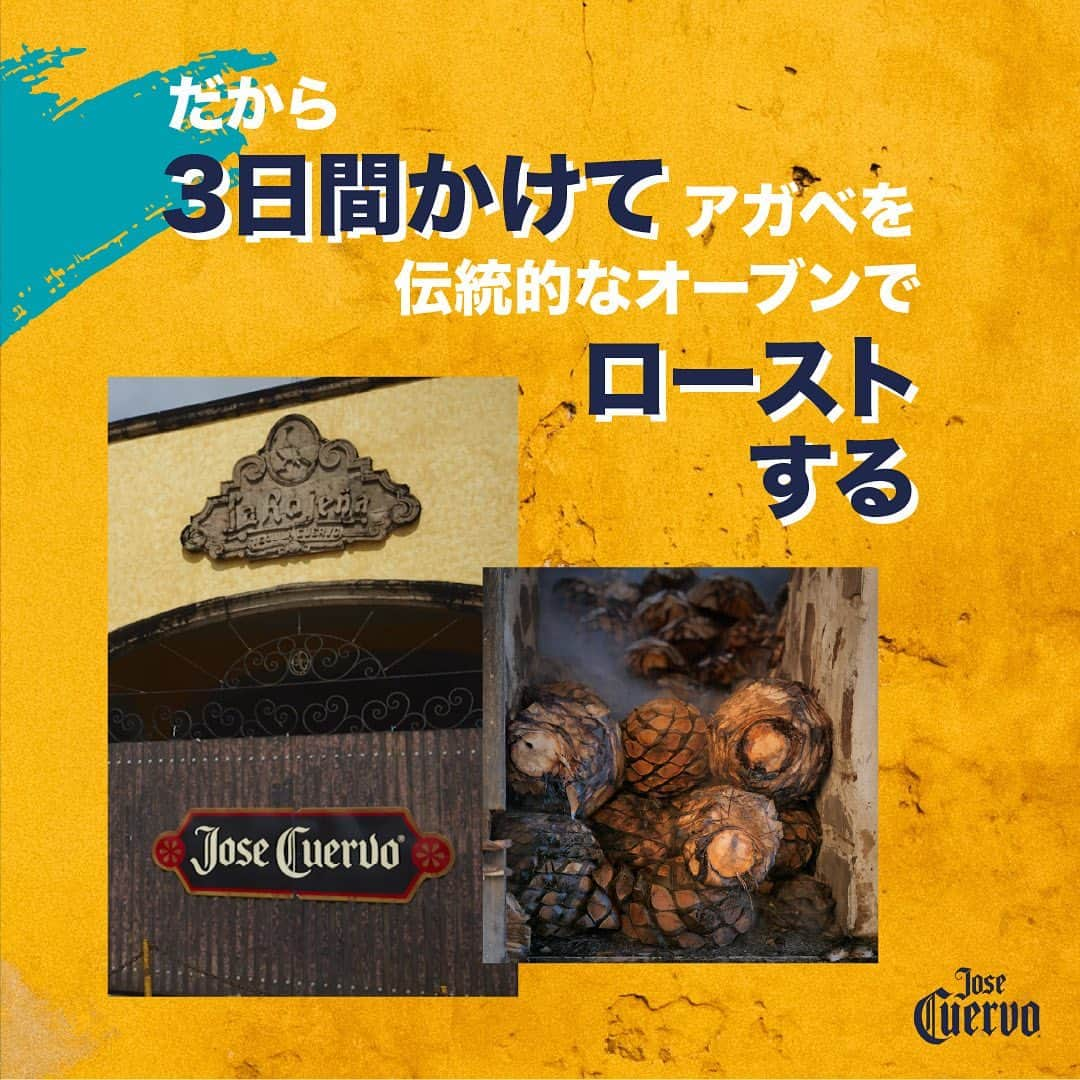 Jose Cuervo Japanさんのインスタグラム写真 - (Jose Cuervo JapanInstagram)「クエルボの美味しさは、プロセスにじっくり時間をかけることで生まれる。1795年から続く伝統製法の美学に乾杯🥂 . . . #クエルボ #ホセクエルボ #テキーラショット #テキーラ #お酒 #伝統 #伝統製法 #お酒造り #アガベ」11月18日 19時06分 - josecuervojp