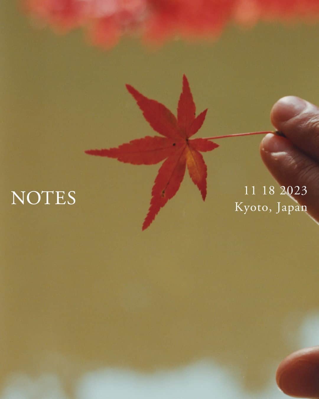 SHIHARAさんのインスタグラム写真 - (SHIHARAInstagram)「New Shihara Notes entry by Osma Harvilahti @osmaharvilahti on notes.shihara.com.」11月18日 19時00分 - shihara