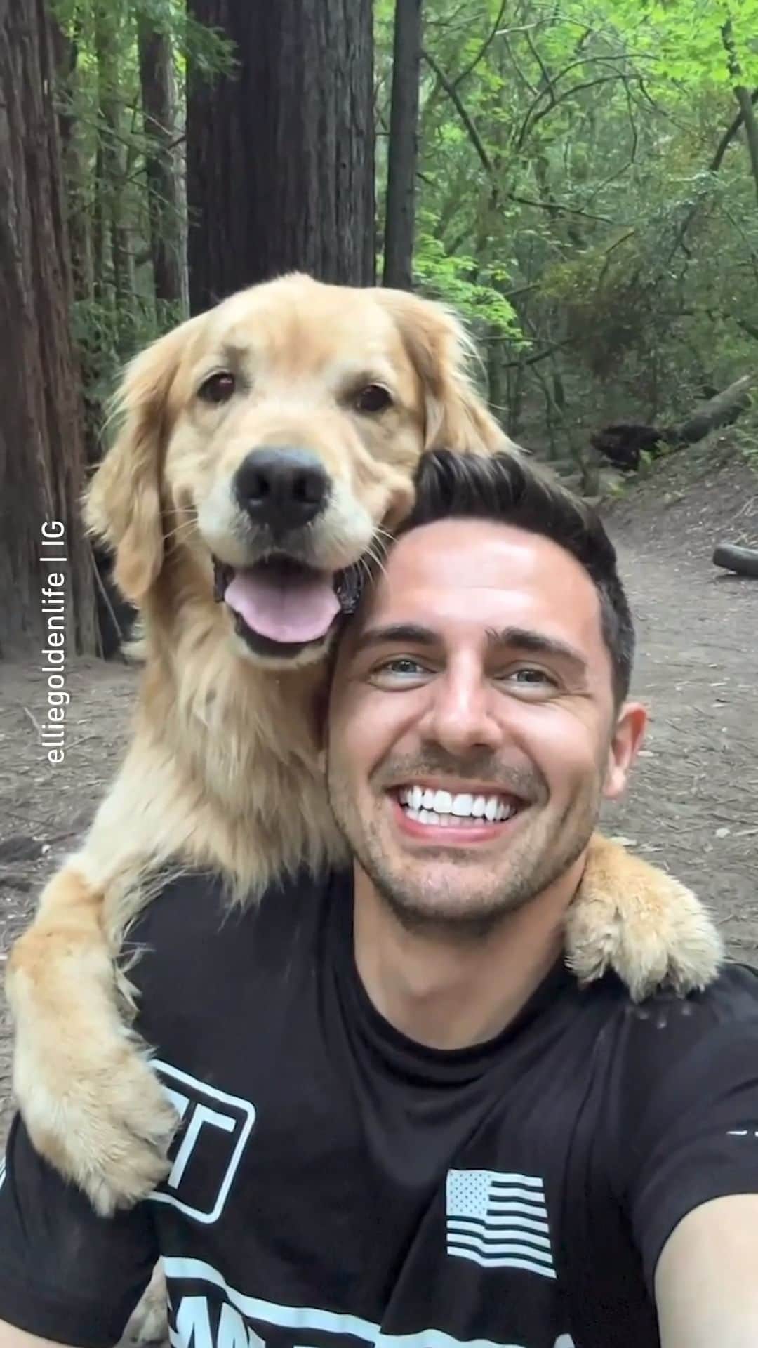 8crapのインスタグラム：「Smile for #SelfieSaturday ! 😁 📹 @elliegoldenlife - Hashtag #barkedselfie on your doggo’s selfies and get a chance to be featured! - #barked #🤳 #Selfie #DogSelfie #dog #doggo #GoldenRetriever」
