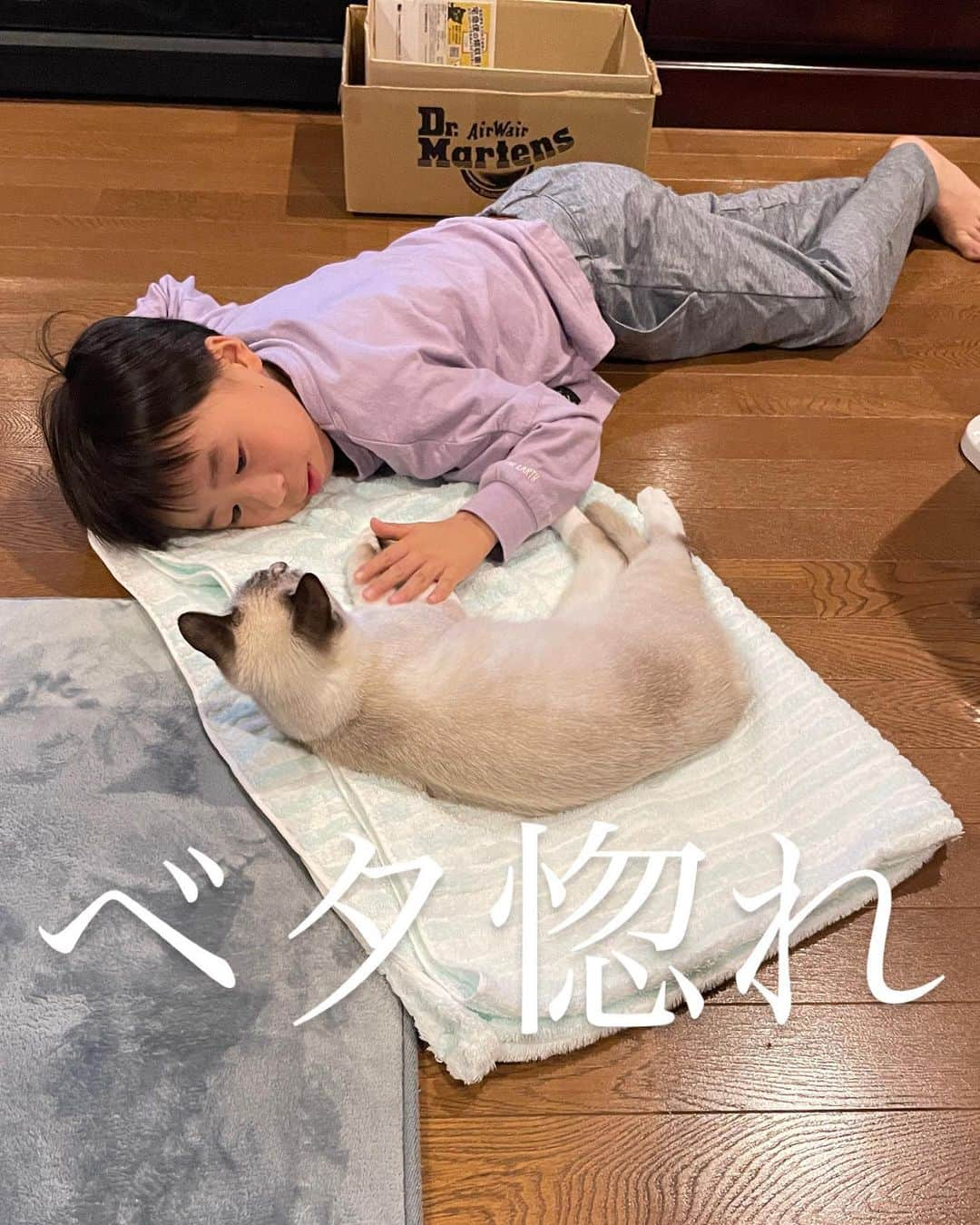 にゃんすくんさんのインスタグラム写真 - (にゃんすくんInstagram)「甥っ子こぱんにメロメロ😍  そんで、 妹が悪さすると「にゃんすが来るよ？！」って言うw  #鬼かにゃんすか  #にゃんすとこて #こぱんとこて」11月18日 19時34分 - nyasuyama