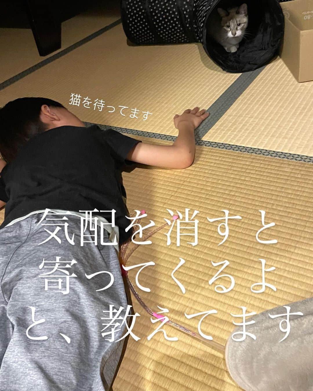 にゃんすくんさんのインスタグラム写真 - (にゃんすくんInstagram)「甥っ子こぱんにメロメロ😍  そんで、 妹が悪さすると「にゃんすが来るよ？！」って言うw  #鬼かにゃんすか  #にゃんすとこて #こぱんとこて」11月18日 19時34分 - nyasuyama