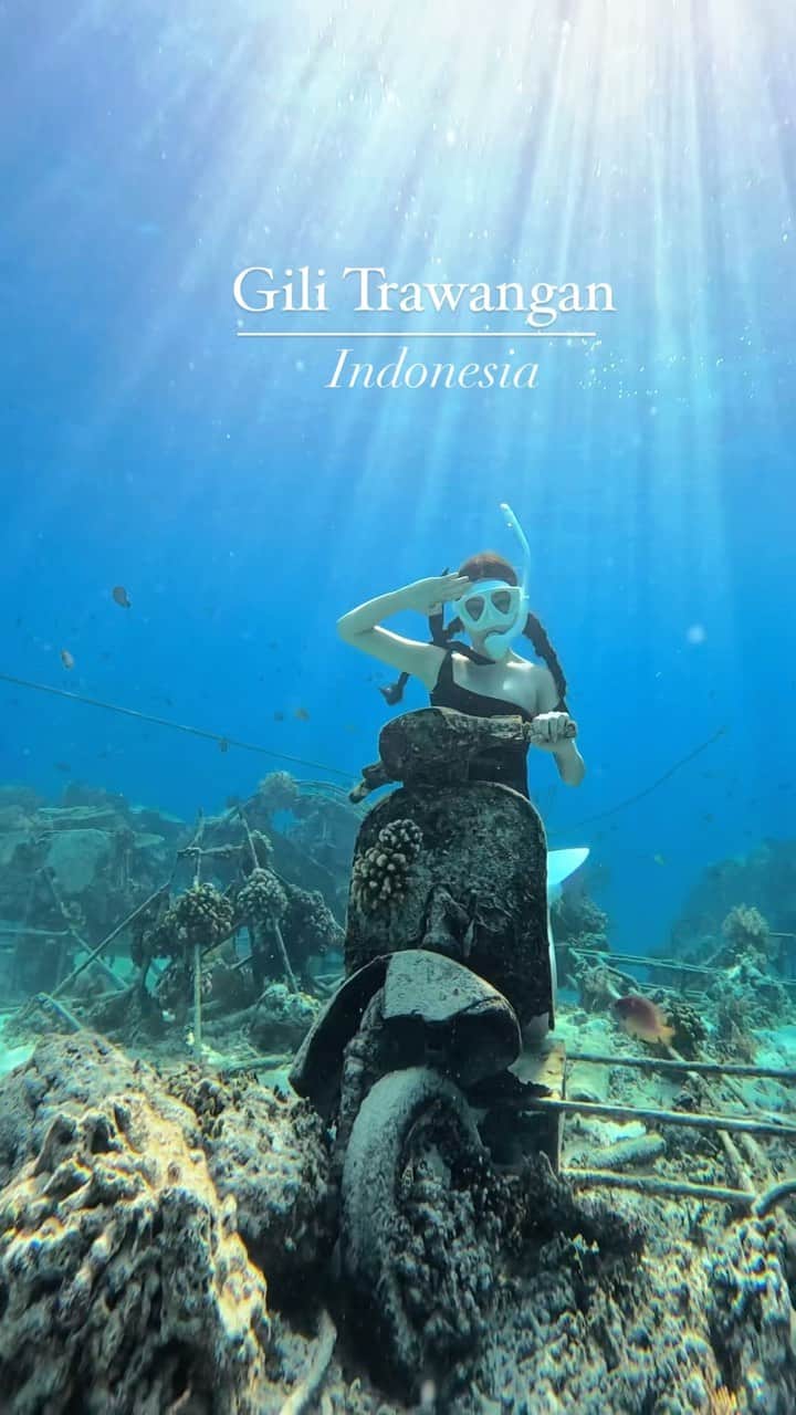ももせゆきのインスタグラム：「海の中で光のシャワーを浴びながらバイクに乗ってきたよ🏍 キラッキラの光がキレイすぎる😍 location📍Gili Trawangan🇮🇩 ・ ・ 🏷 #GiliIsland #Gilimeno #GiliTrawangan #ギリメノ #ギリトラワンガン #ギリ島 #skindiving#diving#ダイビング  #シュノーケリング #Bali #バリ島#バリ島旅行 #Balitrip #Balitravel #Balidestination #Indonesiatravel #visitbali #explorebali  #reelvideo  #reelsinstagram  #リール動画 #travelreels」