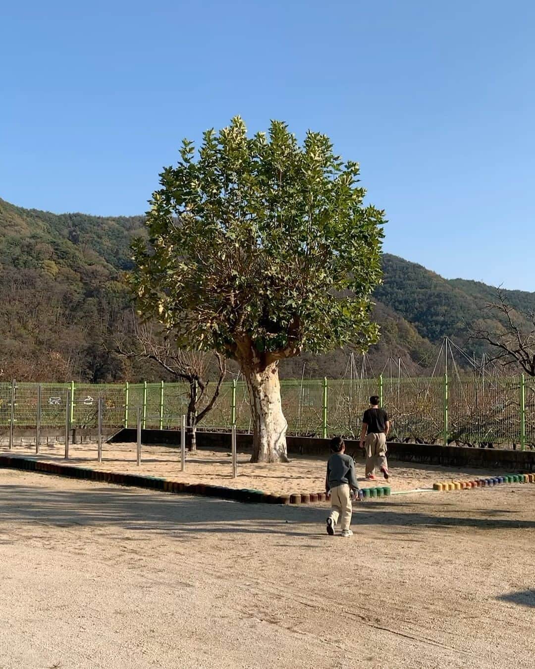 ホン・ヨンギのインスタグラム：「대구까지와가지곤 초등학교에서 축구만 2시간했음 진짜 왜」