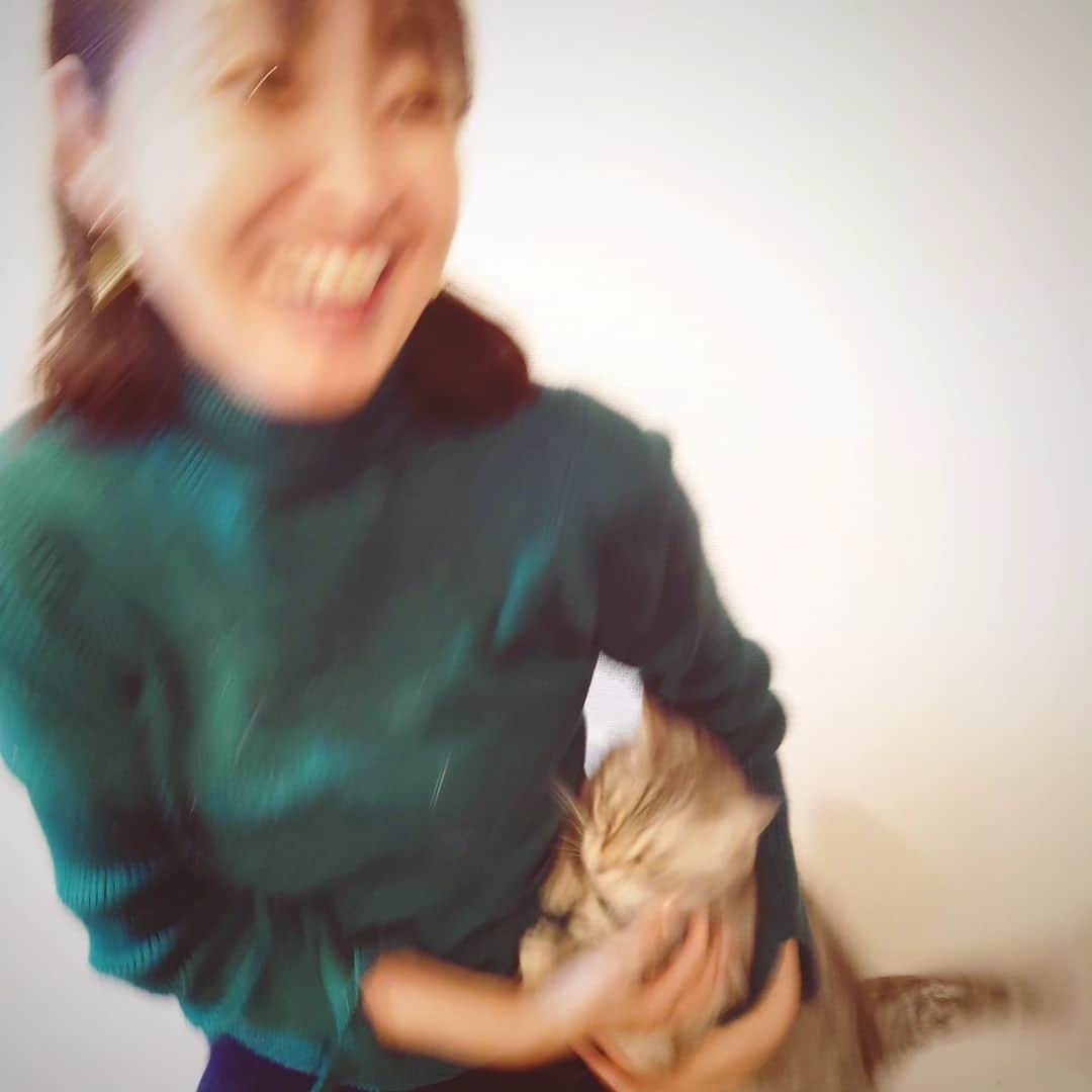 伊勢みずほさんのインスタグラム写真 - (伊勢みずほInstagram)「猫イベント用に、シェーンをだっこした写真をくださいと言われ、チャレンジしたけど。。。。  何かされると思ったシェーンは大暴れ🤣🤣🤣  セーターが毛だらけになっただけで、 1枚も撮れなかったよ🙆  #宣材写真 #宣材　 #猫部　#シェーン #ごめんね　#🤣 #ブレブレ #だめだこりゃ  #伊勢みずほ #アナウンサー」11月18日 19時47分 - isemizuhoo