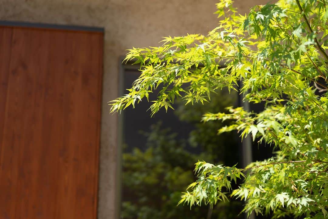美し信州建設さんのインスタグラム写真 - (美し信州建設Instagram)「建物に寄せて木を植える  背景となる板張りやそとん壁の風合いに イロハモミジの繊細な枝葉がよく合います。  落葉樹を窓の近くに植えることで、夏の高い日差しからは日を遮り 冬の低い日差しはたっぷり取り入れます。 日の入り方によって変わる枝葉の影も絵になります。  【 一人暮らしを育むコンパクトな一軒家】 --------------------------------------------  信州の街に、自然に、人に寄り添うロングライフデザインの住まい。 美しい本物の木の住まいをお届けします。  A Long Life Design home that harmonizes with nature and people in the towns of Shinshu. We deliver homes crafted from exquisite, authentic wood – residences that truly embrace the essence of nature and community.  -------------------------------------------- ▼最新のイベント情報や家づくりの事例は @utukusinshuu のURLからご覧いただけます。  #上田市 #植栽 #イロハモミジ #日差し #長野県 #美し信州建設 #木の家 #自由設計 #注文住宅 #建築士とつくる家 #丁寧な暮らし」11月18日 20時00分 - utukusinshuu