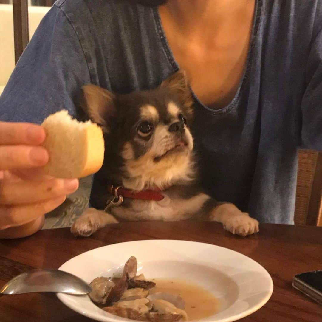 Yukiのインスタグラム：「何枚目のラズが好き？Which one do you like?投票してね🫰」