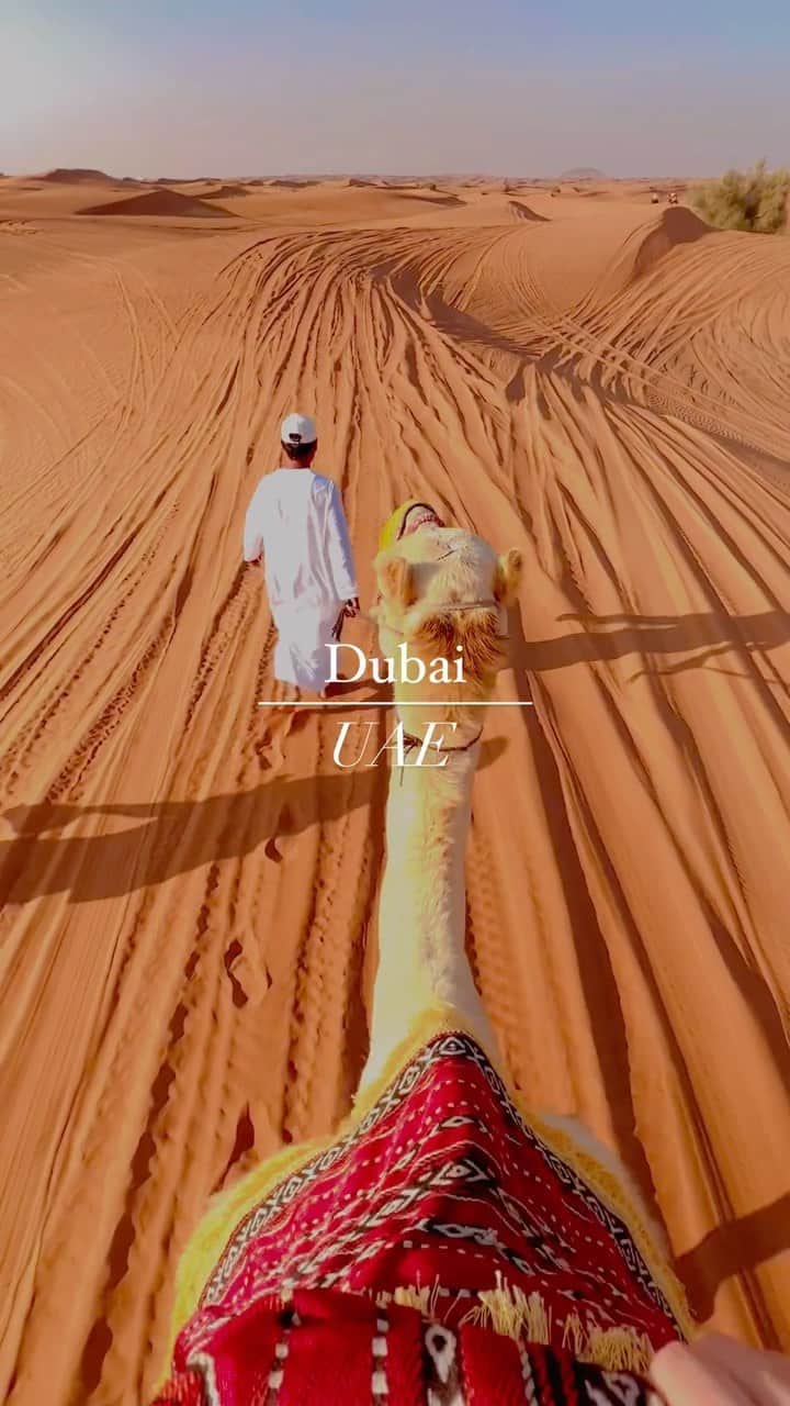 相知明日香のインスタグラム：「🏜️🐪☀️  最後、ガイドさん悪い顔して走り出したよ😀🏃🐪 続きは次のリール😂🏜️🐪💛 それにしても現実じゃないみたいな世界、、、🥹🕌✨  •┈┈┈••✦☪︎✦••┈┈┈•┈┈┈••✦☪︎✦••┈┈┈•  🇦🇪 𝘿𝙪𝙗𝙖𝙞, 𝙐𝘼𝙀  •┈┈┈••✦☪︎✦••┈┈┈•┈┈┈••✦☪︎✦••┈┈┈•  #Dubai #UAE #MiddleEast #UnitedArabEmirates #🇦🇪 #businesstrip #trip #travel #violinist #artist #travelblog  #travelphotography #desertsafari #desert #旅するヴァイオリニストinUAE #ヴァイオリニスト #バイオリン #海外旅行 #旅 #旅行 #中東 #アラブ首長国連邦 #ドバイ #ドバイ観光  •┈┈┈••✦☪︎✦••┈┈┈•┈┈┈••✦☪︎✦••┈┈┈•」