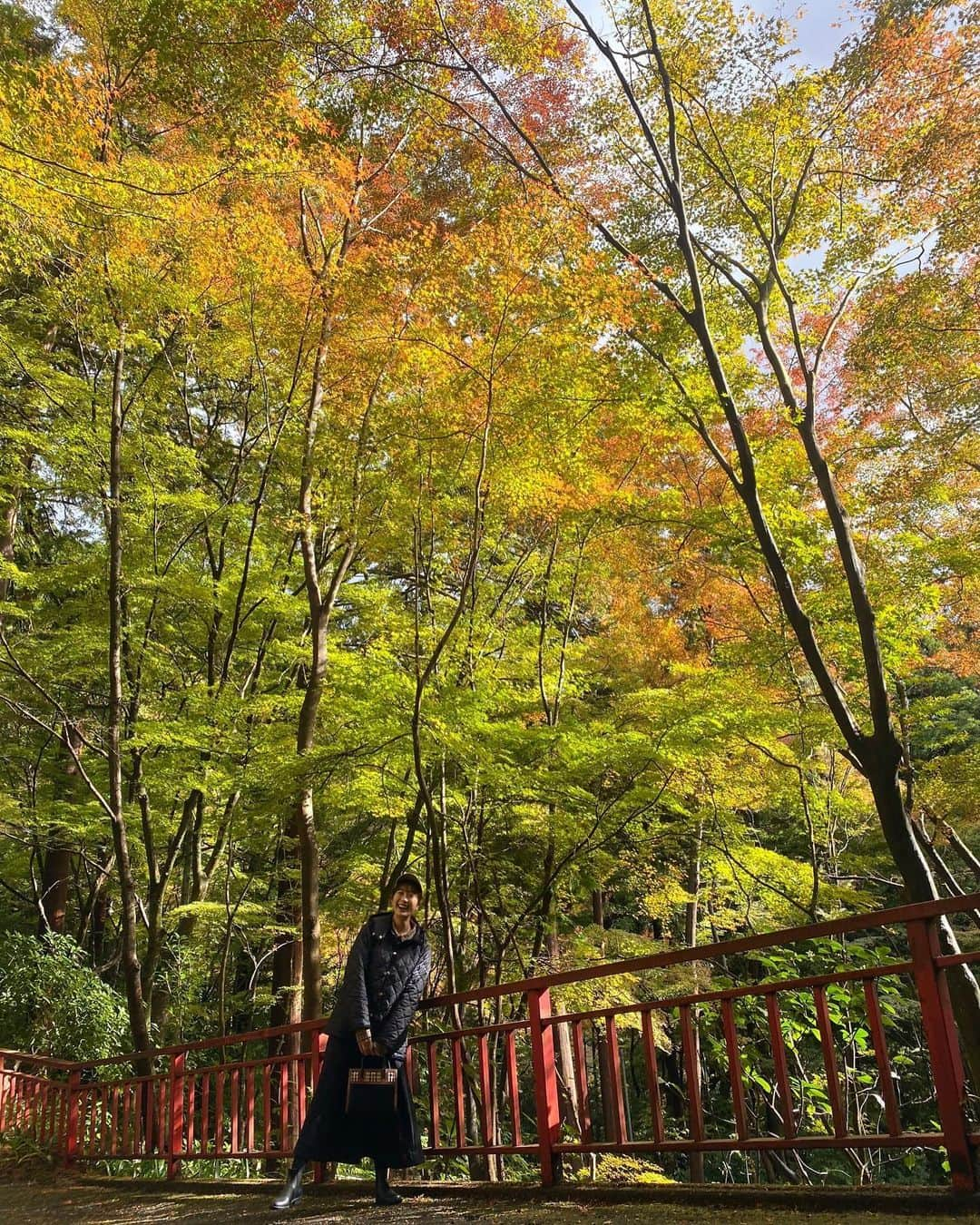 小松﨑花菜のインスタグラム：「・ 大矢田神社の紅葉😊🍁  空気が澄んでいて、水も綺麗で、 光が当たると透けて見える紅葉に癒されました✨  あじゅいつもありがとう！  #岐阜 #美濃市 #大矢田神社 #紅葉 #秋 #東海テレビ #アナウンサー #篠田愛純 アナ #メーテレ #小松﨑花菜 #2人とも大吉✌️」