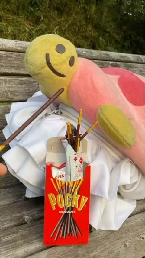 ちぃたん☆のインスタグラム：「ポッキーとか興味ないですっ☆こっちは枝を持ってますからっ☆ 成分的にもこっちのが上ですしっだからポッキーとかいらないですっ☆ちぃたん☆ですっ☆  exchange sweets and branches.」