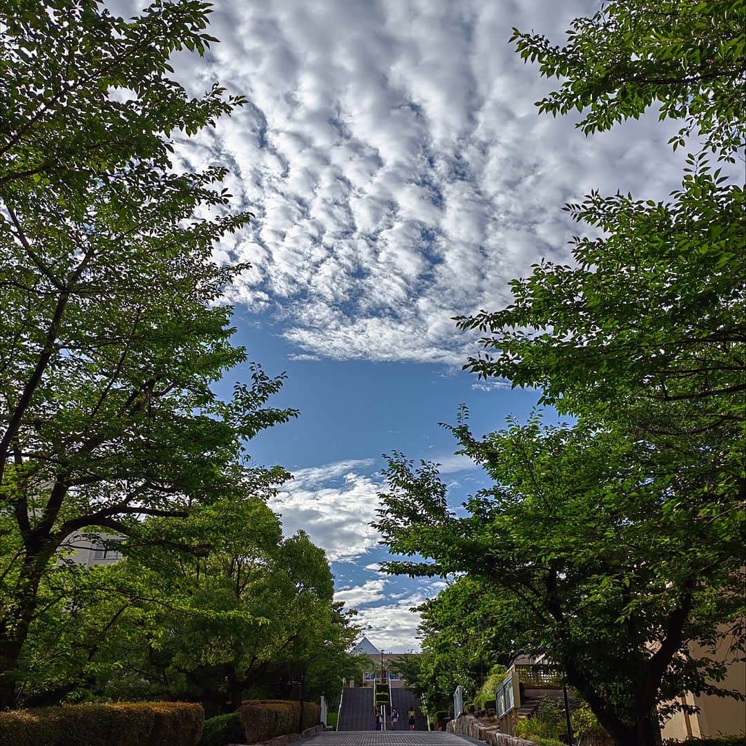 神戸学院大学さんのインスタグラム写真 - (神戸学院大学Instagram)「フォトコンテスト「神院大キャンパスライフの魅力」【2023年10月－12月】応募作品No.342～344はスヌーピーさんからご応募いただきました。  有瀬キャンパスのさまざまな場所で撮影してくれました✨  ～写真にまつわるエピソード～ 342「2号間の前」：夏に撮影した大学の写真です。暑い日は心も情熱を持ちます。 343「4号館の前」：もうすぐ見れなくなる景色。縁があれば再び会えると信じています。 344「図書館の前」：図書館で勉強していたが体調不良で、早く家へ帰ることがしました。そんな時きれいな風景があると感じました。 ～～～～～～～～～～～～  大学創立60周年の2026年４月竣工を目指して、有瀬キャンパスでは2024年１月頃より１号館の建設工事が始まります🌼  それに伴い現在の2号館および中庭は12月までで見納め。 いろいろな思い出が詰まったキャンパス写真が撮れるのも12月までです😳  そこで！広報グループではフォトコンテスト特別企画を開催中☆ 【フォトコンテスト特別企画】～あなたの思い出の写真大募集～✨✨ https://www.kobegakuin.ac.jp/news/ae00cf1c6585250e55e5.html  通常のフォトコンテストに合わせてご応募いただくことも可能です。 詳しい応募方法は以下のURLから↓ https://www.kobegakuin.ac.jp/support/student_life/contest.html  皆さんからのたくさんのご応募お待ちしております📸🫶🫶  #神戸学院大学 #神戸学院 #神戸 #大学 #kobegakuin #kobegakuinuniversity #arise #有瀬 #大学生 #有瀬キャンパス #夕焼け #夜景 #大時計  #キャンパスライフ #学生生活 #写真 #写真コンテスト #フォトコンテスト #フォトコン #フォトコンテスト開催中 #青空  #キャンパスフォト #フォト #写真部 #大学の景色 #夜景スポット #写真好きな人と繋がりたい #夜景ポートレート」11月18日 21時00分 - kobegakuin_university_koho