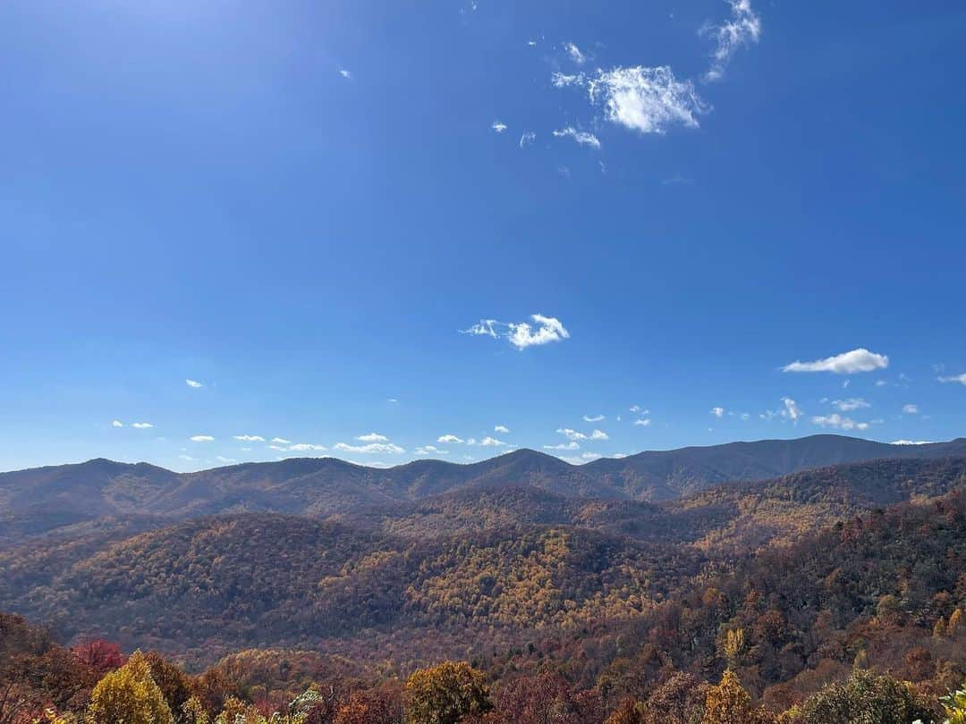 三浦成美さんのインスタグラム写真 - (三浦成美Instagram)「I love Asheville 😮‍💨❤️ Thank you Clark family for the kindness and happiness you have given me.  ルームメイトの実家にもお邪魔して来ました！ 自然に囲まれて最高だった⛰そして大きな優しさに幸せを感じました🤲  #mylife #offseason」11月18日 21時08分 - miura_narumi17