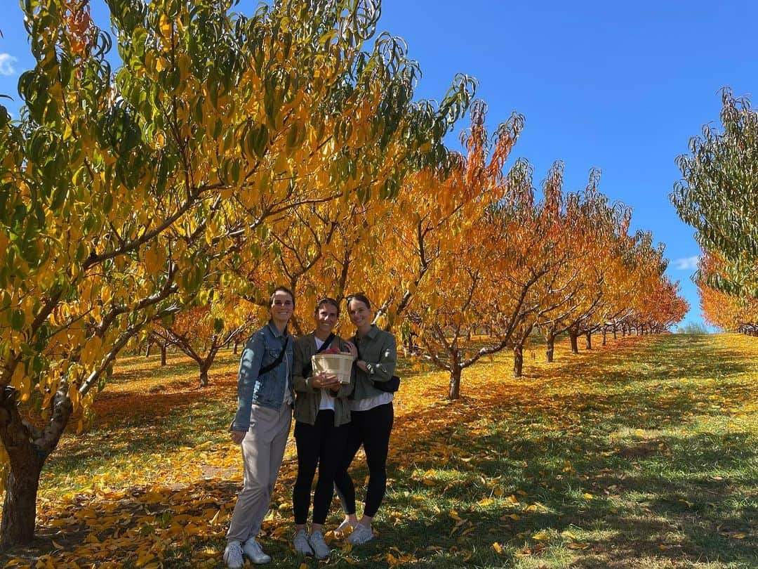 三浦成美さんのインスタグラム写真 - (三浦成美Instagram)「I love Asheville 😮‍💨❤️ Thank you Clark family for the kindness and happiness you have given me.  ルームメイトの実家にもお邪魔して来ました！ 自然に囲まれて最高だった⛰そして大きな優しさに幸せを感じました🤲  #mylife #offseason」11月18日 21時08分 - miura_narumi17