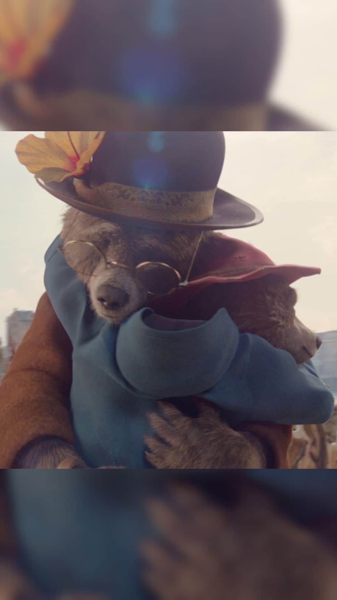 Paddington Bearのインスタグラム：「It's all about #BearMath」
