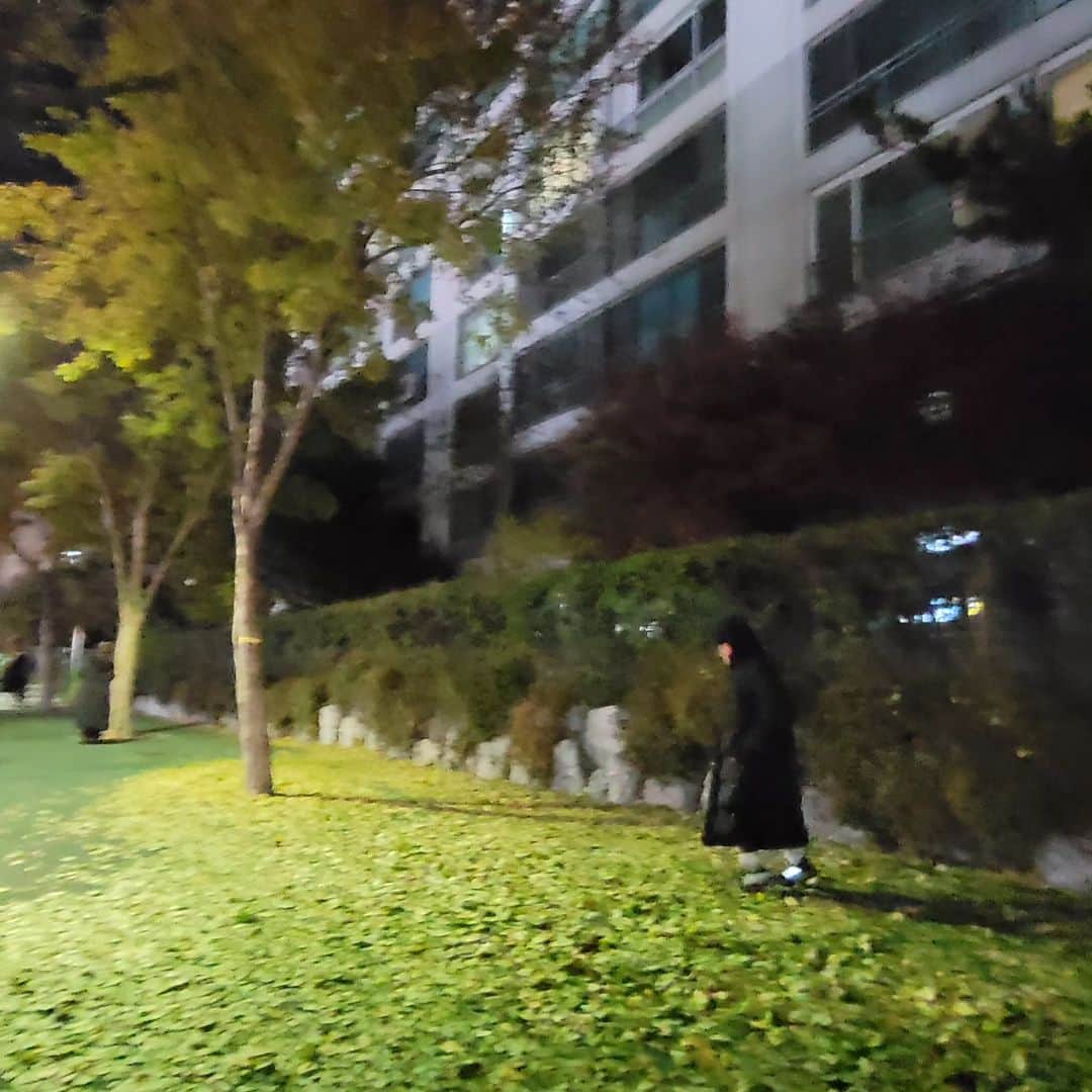 キム・ヒョンスクのインスタグラム：「#은행아#은행님」