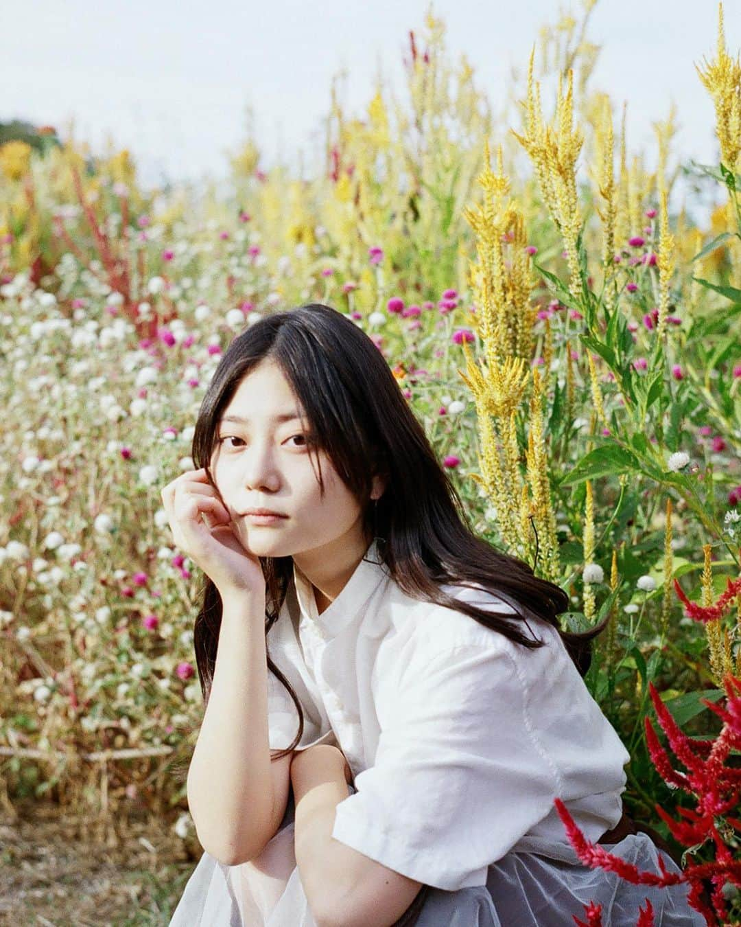 中心愛のインスタグラム：「花粉症  #花粉症 #花 #フレア  #film #ポートレート」