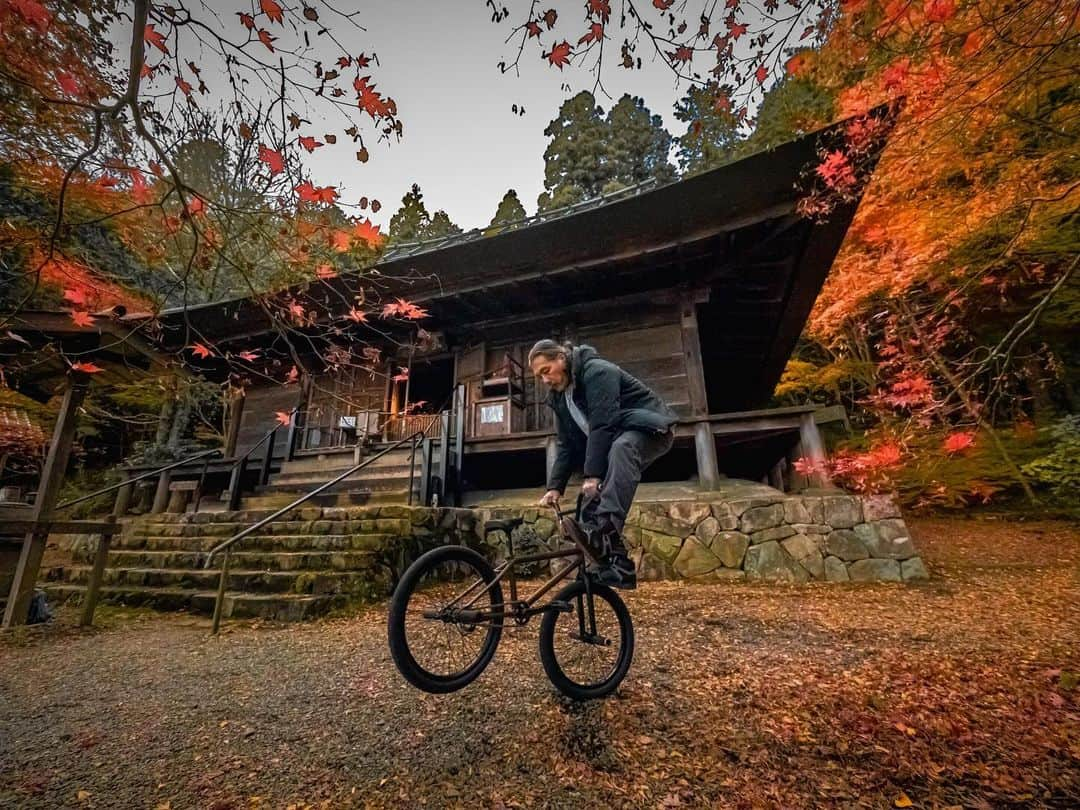 宇野陽介のインスタグラム：「紅葉で有名な兵庫県丹波篠山市の大国寺にお参りに行ったら ご縁で、住職さんにBMXの撮影を許可していただきました！ 初めて行ったのですが、住職さんは自然の見えないエネルギーを体感される方らしく。  せっかくのチャンスなので、撮影トライさせていただきました🙏  国指定重要文化財で藤原時代の仏像の撮影もさせていただきました🙏  お寺全体がエネルギーに満ちた素晴らしいお寺です🐉  皆さん是非。  #aresbikes #bmx #flatland #freestyle #dvsshoes  #お寺 #大国寺 #丹波篠山市  #天台宗　 #lumixphotography  #lumix #lumixgh6」