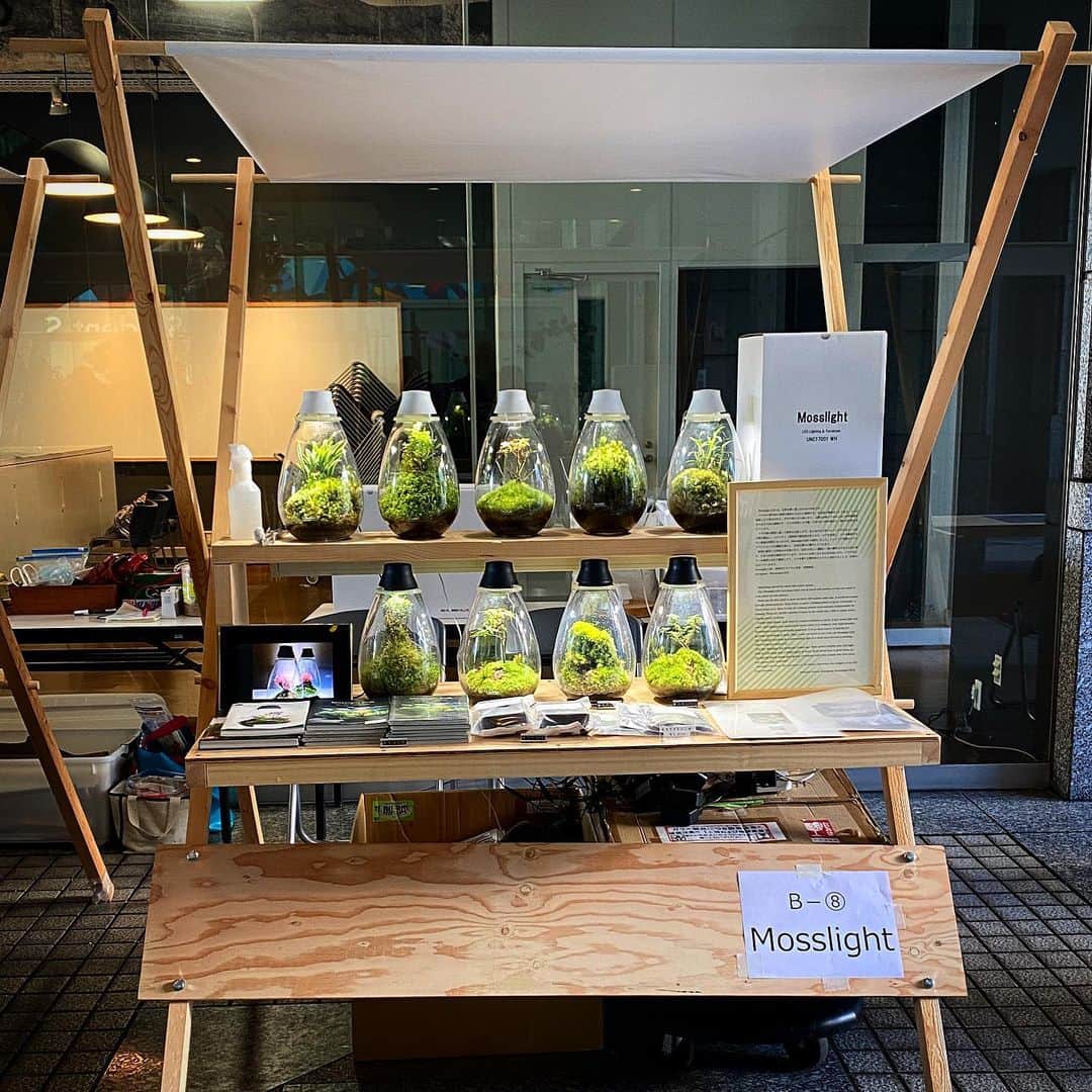 のインスタグラム：「Mosslight」