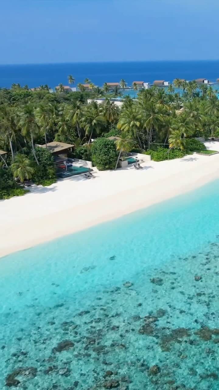 Maldivesのインスタグラム：「Maldives islands, your ultimate beach destination.   Start planning your vacation with @nichegetaways Contact us: WhatsApp+960 760 5656   Video @dreamytravels_ig   #maldives #beachresort #vacation #LuxuryResort #traveltheworld #wanderlust #beachtravel #Омальдивы #Мальдивыотель #Мальдивы #lagoon #summergetaway #путешествовать #holiday #summer #island #пляж #остров #paradisefound #summervacation #beachvilla」