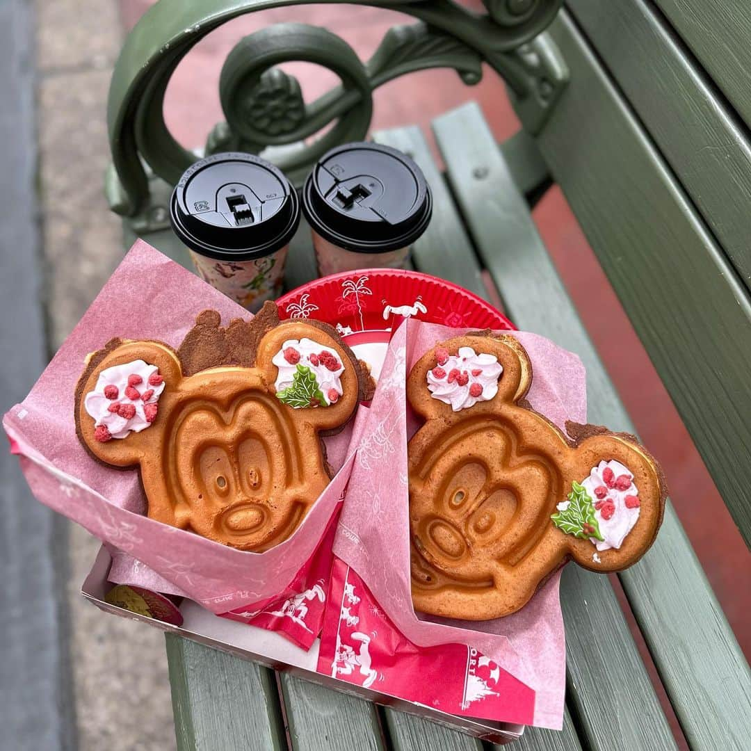 愛内みさのインスタグラム：「・  夫婦disney🎄  強風で寒すぎて凍えたけど いちにち遊んで楽しい日☺️  クリスマスフード達もおさえにいった🎅✨  #disnyland#クリスマスディズニー#グレートアメリカンワッフルカンパニー#グランマサラのキッチン#クリスマス#ディズニーランド」