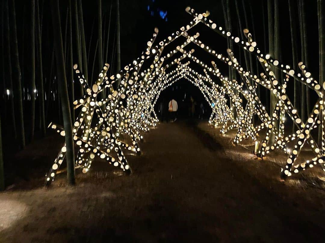 須賀由美子さんのインスタグラム写真 - (須賀由美子Instagram)「夜は点灯式🌉 #若山農場 #ライトアップ  すっごく幻想的で綺麗‼️」11月18日 22時40分 - tottiyumi