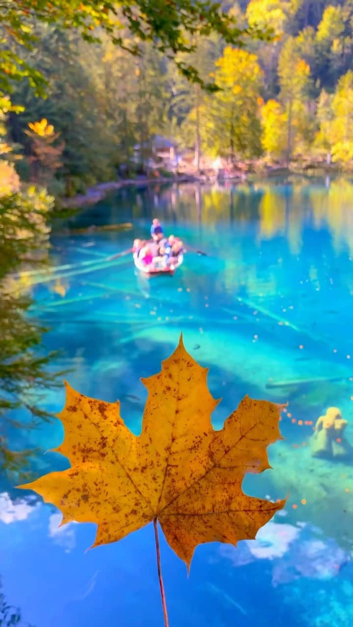 Awesome Wonderful Natureのインスタグラム：「Explore the tranquil surroundings, admire the crystal-clear waters, and embrace the serenity of this hidden gem🍃🍂 📍 Blausee, Switzerland 🇨🇭 Double TAP & share this with an autumn over!🍁  #switzerland #swiss #blausee #lake」