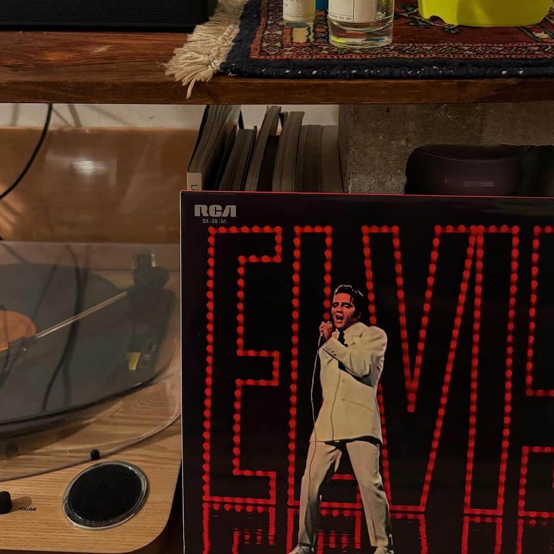 所谷舞のインスタグラム：「Elvis(=´∀｀)」