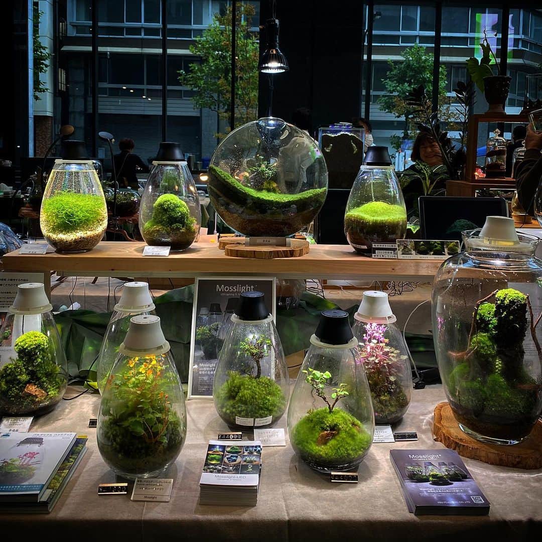 Mosslight-LEDのインスタグラム：「Mosslight  KABOLO vol.6  #mosslight #モスライト」