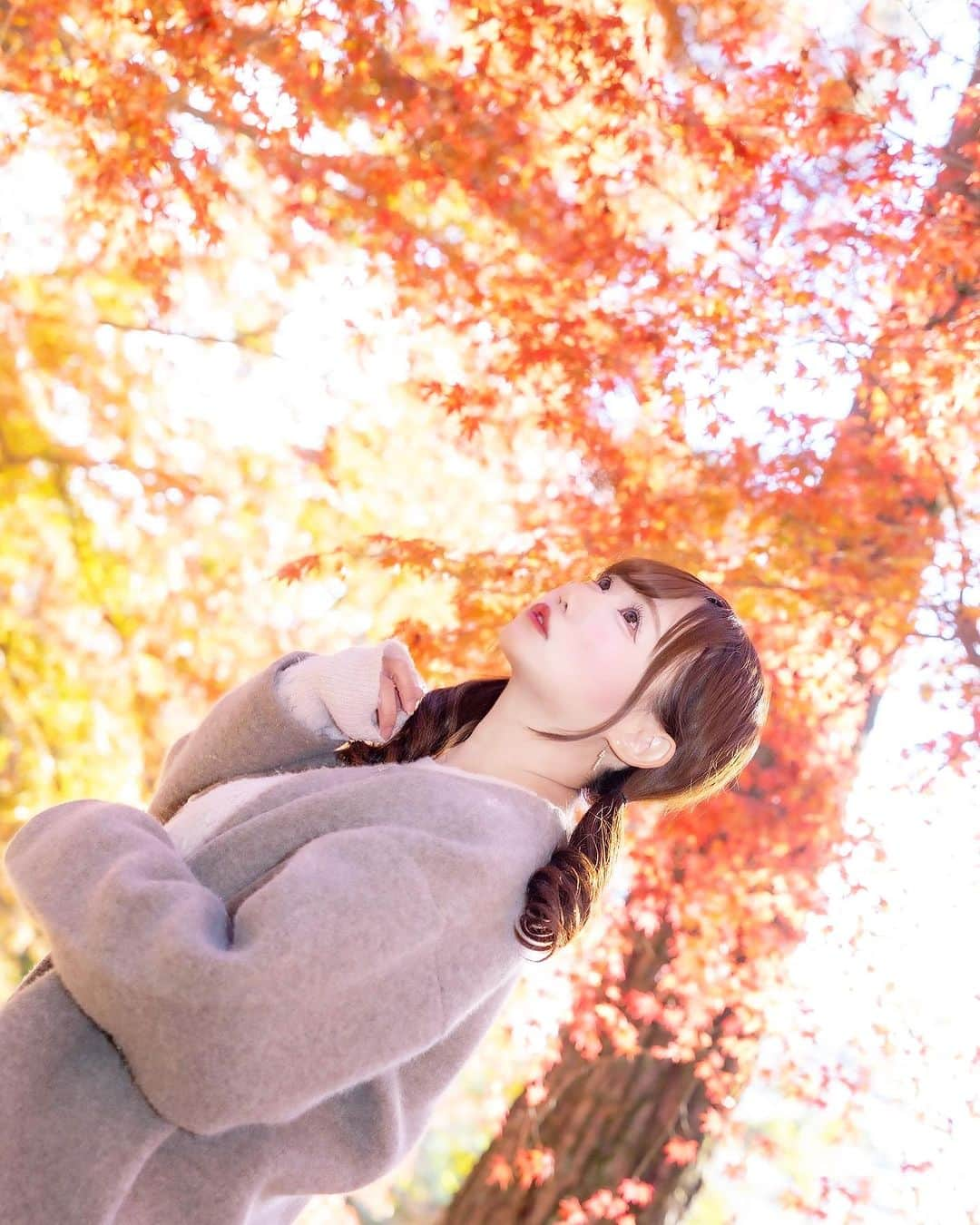 吉田麻衣子さんのインスタグラム写真 - (吉田麻衣子Instagram)「今日の撮影🍂 #秩父 #秩父長瀞  #紅葉 #月の石もみじ公園  #写真好きな人と繋がりたい  #ファインダー越しの私の世界  #吉田麻衣子 #撮影 #モデル #instafollow  #instalike #instagood  #instahappy」11月18日 23時35分 - maiko.yoshida