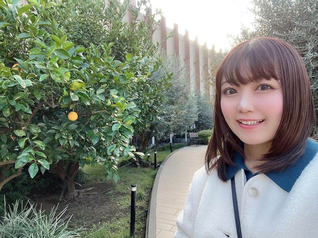 嶋梨夏さんのインスタグラム写真 - (嶋梨夏Instagram)「西宮ガーデンズのスカイガーデン、お花も果物も植物いっぱいですごくリフレッシュ出来ました🥰この果物、なんだろうなぁ🪴 . . . . . #被写体 #お仕事依頼受付中 #紅葉 #秋 #西宮ガーデンズ #兵庫 #宝塚 #むちむち #ぷに子 #アラサー女子 #平成元年生まれ #150cm #ファインダー越しの私の世界 #ポートレート #ポートレート撮影 #女優 #actress #photooftheday #JAPAN #japanesegirl #instagood #followme #ricashima #嶋梨夏」11月18日 23時38分 - shimarica_jp