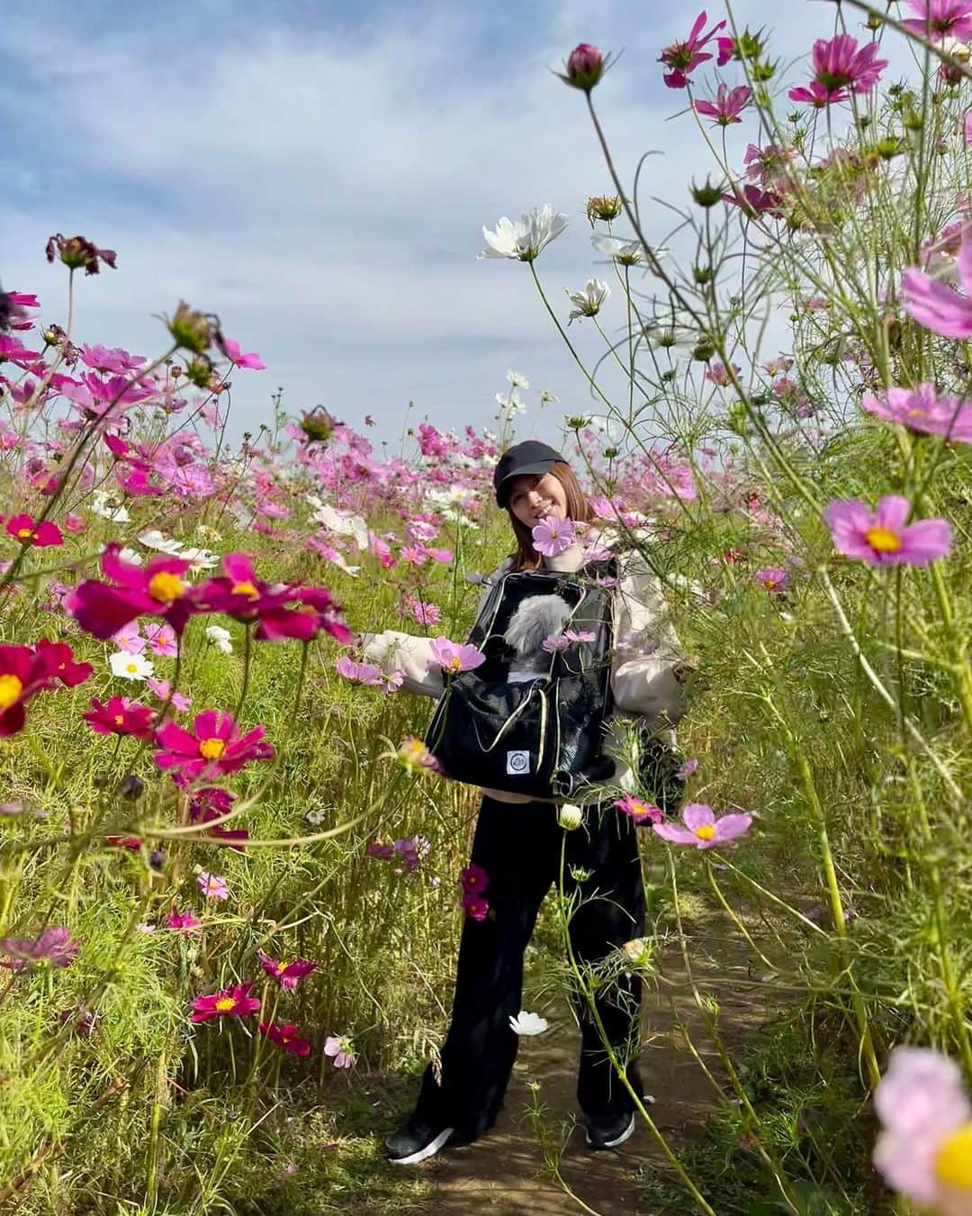 小坂温子のインスタグラム：「コスモスモッコス😌🙏🌸🍀🚗✨ こんな綺麗な花畑を歩いたのは初めてでした。  #ありがとう  #秋桜 #花畑  #母娘旅行 #母娘  #熊本 #南阿蘇  #長崎〜熊本 #ドライブ #初体験 #マーガレット #マガちゃん  #マルプー」