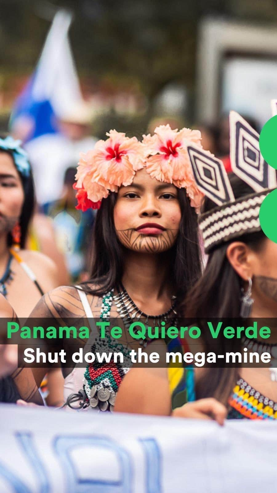 レオナルド・ディカプリオのインスタグラム：「Repost from @rewild: The people of Panama are coming together to defend nature, calling on the country’s Supreme Court to declare a controversial mining project – in the protected rainforest Bosque Donoso – as unconstitutional.   This area, lying in the heart of the largest biological corridor in Mesoamerica, is a lifeline for many migratory species. It is critical to the livelihoods and cultures of local and Indigenous communities, and is home to wildlife that includes macaws, tapirs, monkeys and jaguars. This activity would have destructive impact on the surrounding ecosystems, species, and people.    A global spotlight can help Panamanians win a critical victory for biodiversity and can pave the way for a more sustainable future.   Sign the petition to halt the mining project in Panama at the #linkinbio.    #PanamaTeQuieroVerde #PanamáValeMásSinMinería   Video credits: Collaboration between @duletvindigena @waguafilms @mullu.tv & Passu Creative Community   Photography: @enlayesk507   Narrated by @rosedelizg」