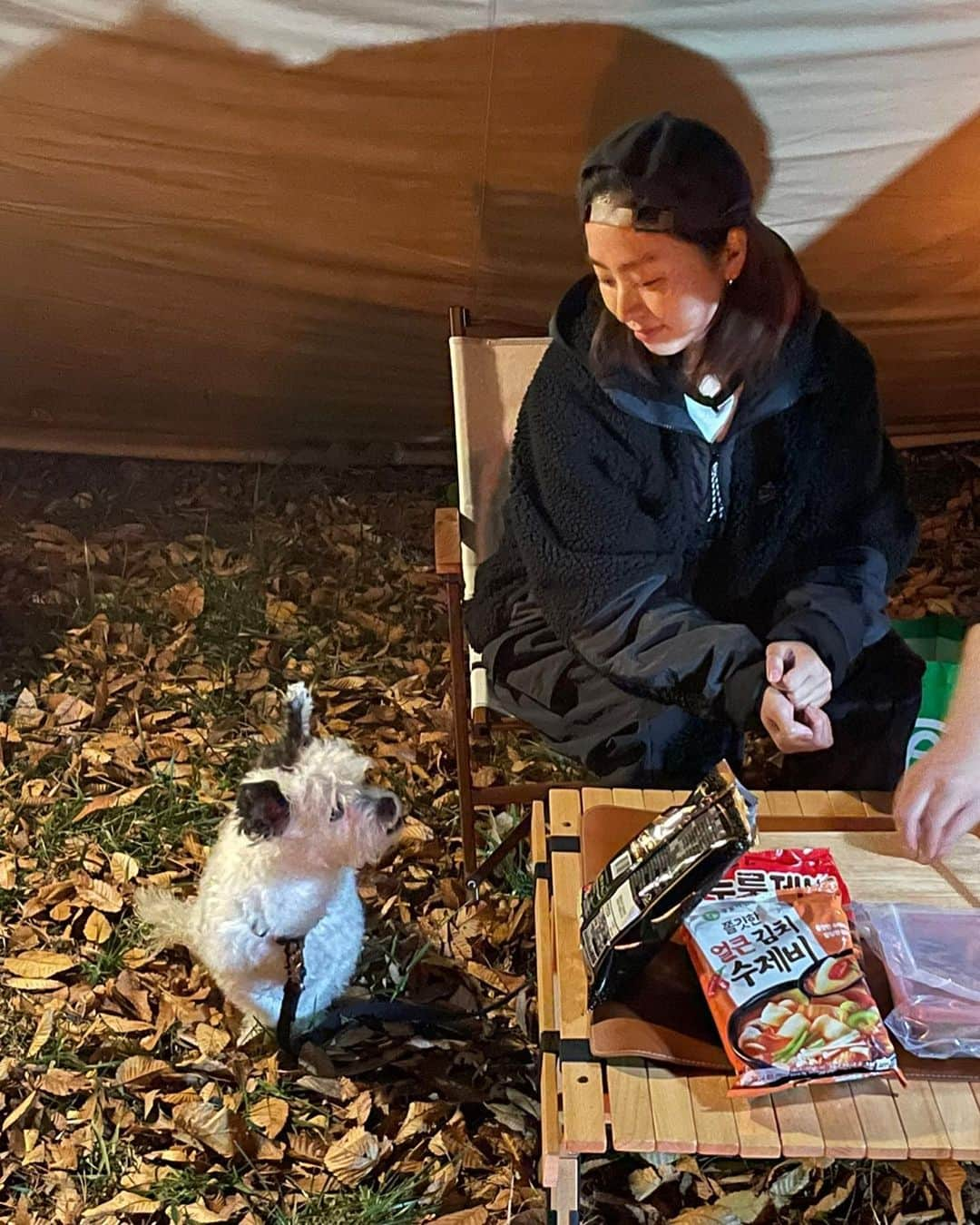 ノ・スサンナさんのインスタグラム写真 - (ノ・スサンナInstagram)「#나혼자산나  캠핑다녀왔어요🐶 @mixcomma 콤마랑 추워지기 전에 가을만끽🏕️🧡 유튜브 놀러오세용🐶 (마지막사진 도전정신 야생콤마) #캠핑#가을캠핑#캠핑엔삼겹살」11月19日 12時17分 - sussanna_noh