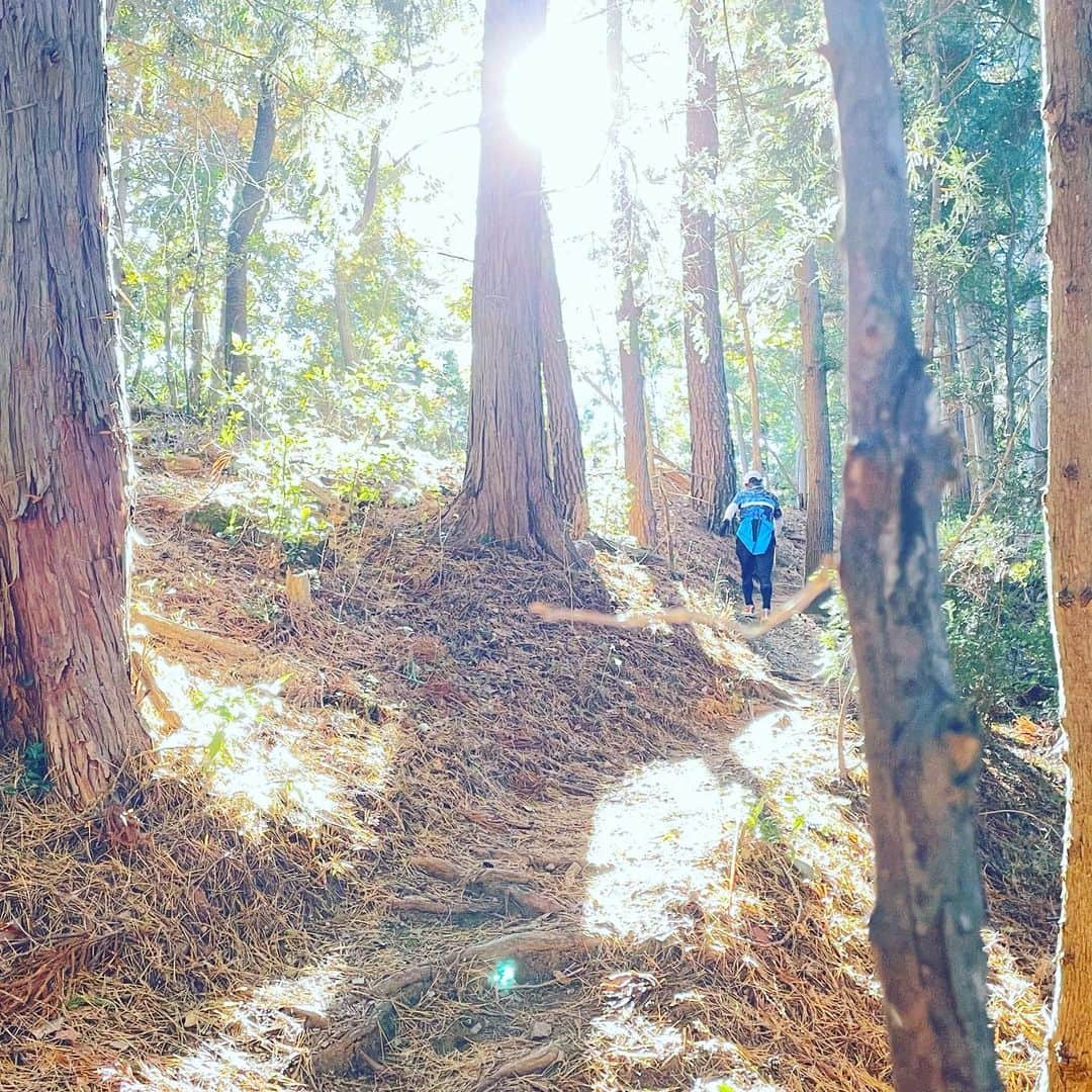 富所哲平さんのインスタグラム写真 - (富所哲平Instagram)「さくらやまトレイル2023  やっぱり自然の中は良い！ 15km、完走！  序盤は相棒探し！ この棒が見つかってからはまさに孫悟空のような立ち回り！ 気持ち良かったー！  #トレイルランニング #大切なことは全て自然が教えてくれる #紅葉 #真っ赤に色づいて #冬桜 #桜山公園 #絶景」11月19日 12時12分 - tomitetsu823