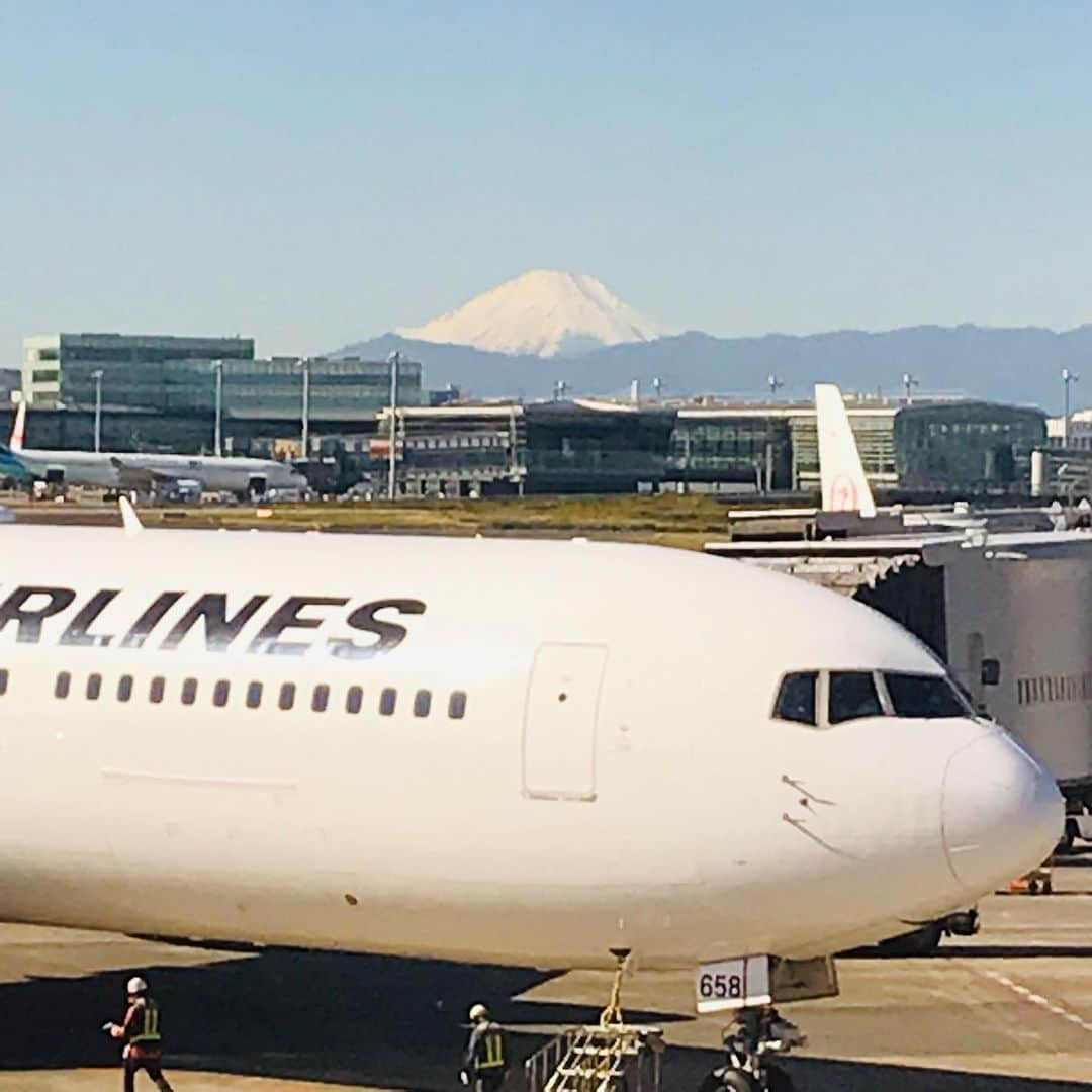 尾木直樹さんのインスタグラム写真 - (尾木直樹Instagram)「日曜日の東京はくっきり晴れて､富士山も東京タワー🗼も寒空に冴えてますよ！ ｰ #東京タワー🗼 #羽田空港#富士山#冬空#清々しい#尾木ママ#元気いっぱい」11月19日 10時49分 - oginaoki_ogimama