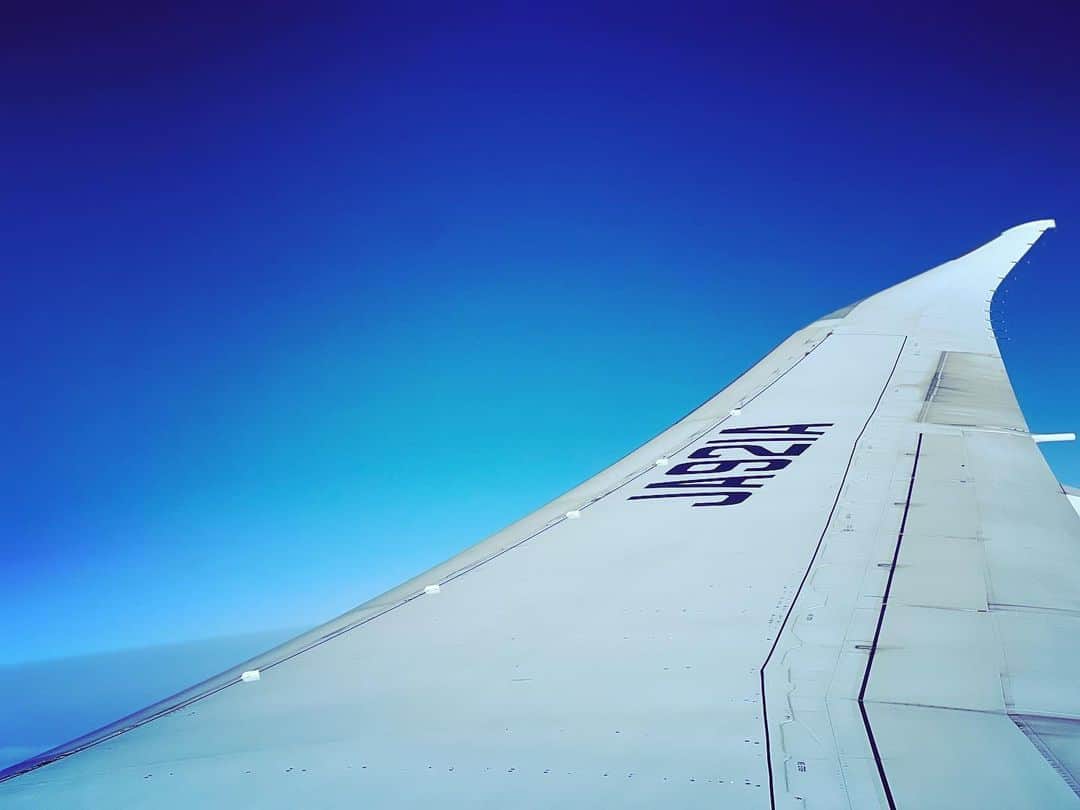のインスタグラム：「.  飛行機に乗る時 気づくといつも 翼のあたりの席を指定している 離陸や着陸時に 翼がパタパタしているのを見るのが好き あの部分をエルロンというらしい」