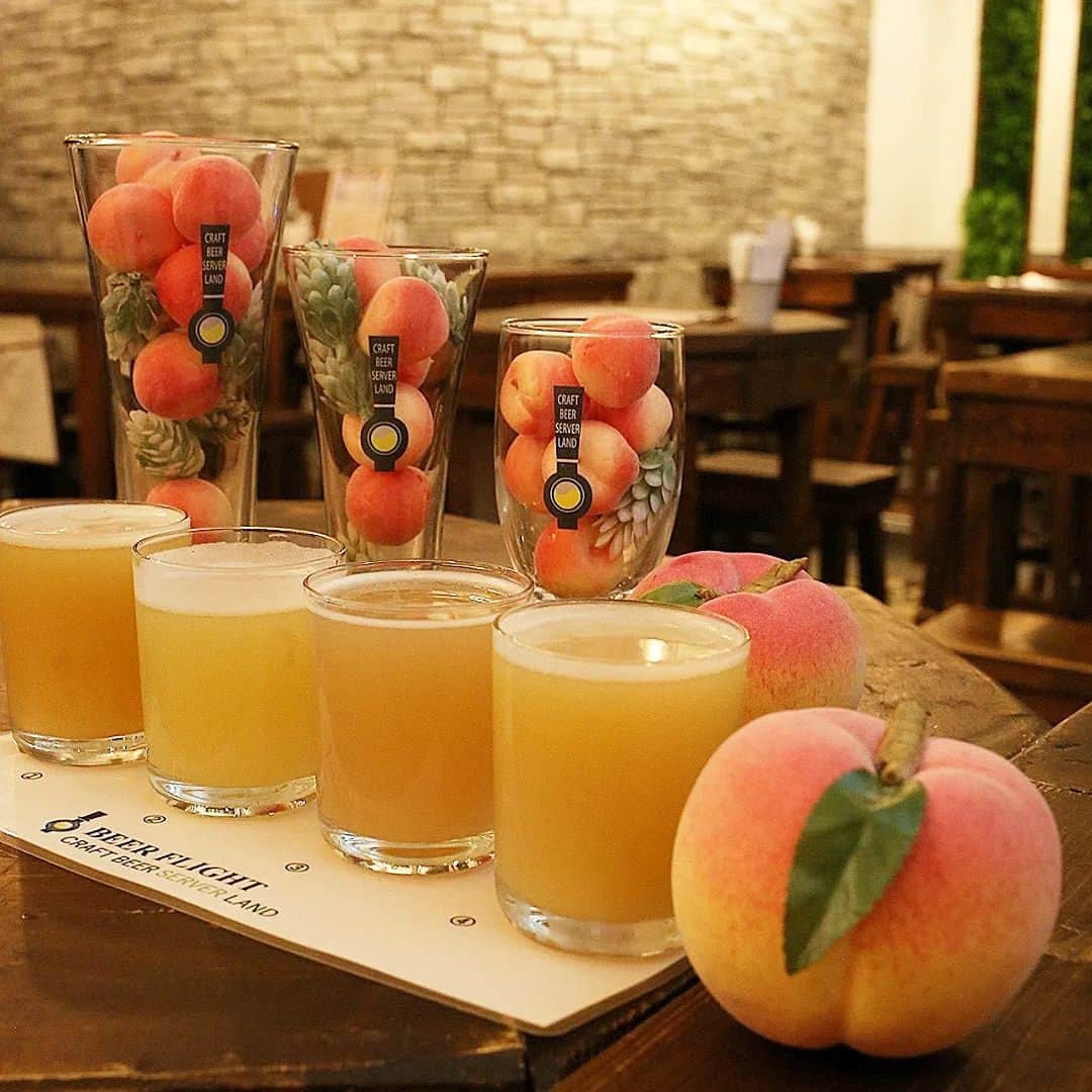 く～さんのインスタグラム写真 - (く～Instagram)「おはようございます。 こちらもイベント投稿です。  クラフトビール好きな方々からお勧めされていた赤坂見附のサーバーランドさんに行って来ました🍺  11/13〜19は桃を使用したクラフトビールを集めて飲もうと言う桃祭りイベントでした。有給取ったら夫も休みだったので2人で。  天井高くて壁にタップがあったりビール好きにはたまらない空間。  ビールは31タップだったかな？それで桃ビールが色々飲めるなんて嬉しい🍑  桃ビールは飲み比べで8種類程飲んでみました。本当に桃がしっかりしてるものから、香りは桃で飲むとビールというものまで様々。桃感を感じたい方はサンクトガーレンがオススメ。後は福島路ビールとかも美味しかったな。  最後グラスで飲んだのが、満場一致で優勝だった、うしとらブルワリーの乱穫注意。9％のハイアルコールですが、これは正に大人のネクター！本気で美味しいですが、一発で酔います。 味もですが、このコンセプトも良い！  カフェ界隈でも桃好きな方の桃ハンターや桃狩りと称した桃スイーツが溢れたりしていて辟易していたけど、ビール界でもあるのですね💦皆が少しでも飲めるにはハイアルコールにして飲む量を減らすと言うのが納得。でも私は結構ぐひぐひいけます（笑）  お店の方も気さくな方で、映えでどうぞ！と桃の置物貸してくださったり🍑  職場から意外と近いので仕事帰りにまた飲みに行きたい！ #トコトコサケメグリ #クラフトビール #ビール女子 #ビールおばさん #ビールクズ #桃ビール #桃祭り #日本ビール #ビール好き #ビール好きな人と繋がりたい #赤坂見附 #ランチ #craftbeer #beerlover #beer #tokyogourmet #beercafe #beerbar #igersjp #tokyocameraclub #yummy #桃」11月19日 10時43分 - cafecafecoo