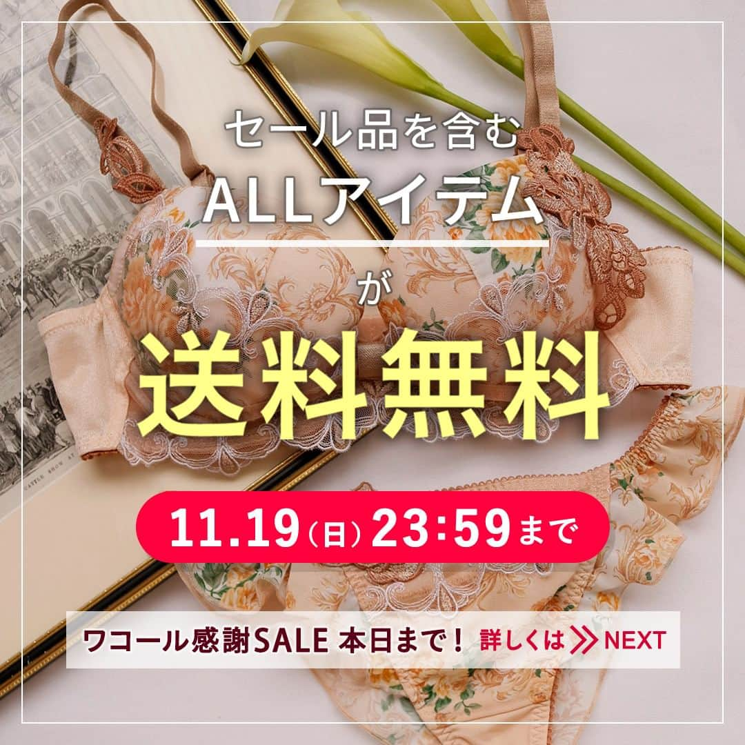 ワコールウェブストアのインスタグラム：「#送料無料 💚本日11/19(日)23:59まで🔚合計1,100円(税込)(本体価格1,000円)以上のご購入が対象！  半期に一度の特別価格！ワコール感謝SALEも本日が最終日💗  プロフィール画面のURLからウェブストアにアクセス&ハイライトから「ワコール感謝SALE」をチェック🤍  お得なスペシャルDAYに、ぜひワコールウェブストアでお買い物をお楽しみください☺️  #ワコール #アンフィ #ウンナナクール #ウイング #パルファージュ #サルート #cwx #通販 #下着通販 #ランジェリーショップ #ランジェリー通販 #大人ランジェリー」