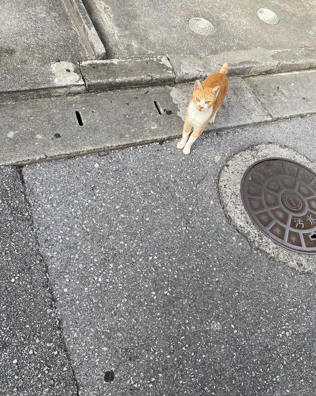 タテタカコのインスタグラム：「おはようさん☀」