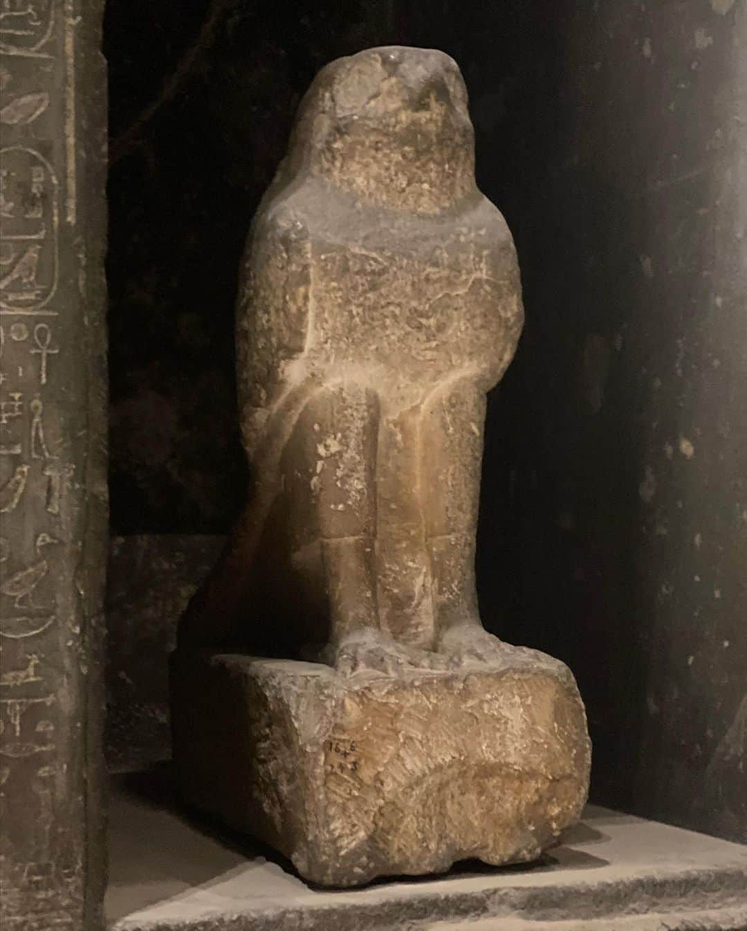 青山有紀さんのインスタグラム写真 - (青山有紀Instagram)「エジプト考古学博物館」11月19日 11時33分 - yukiaoya