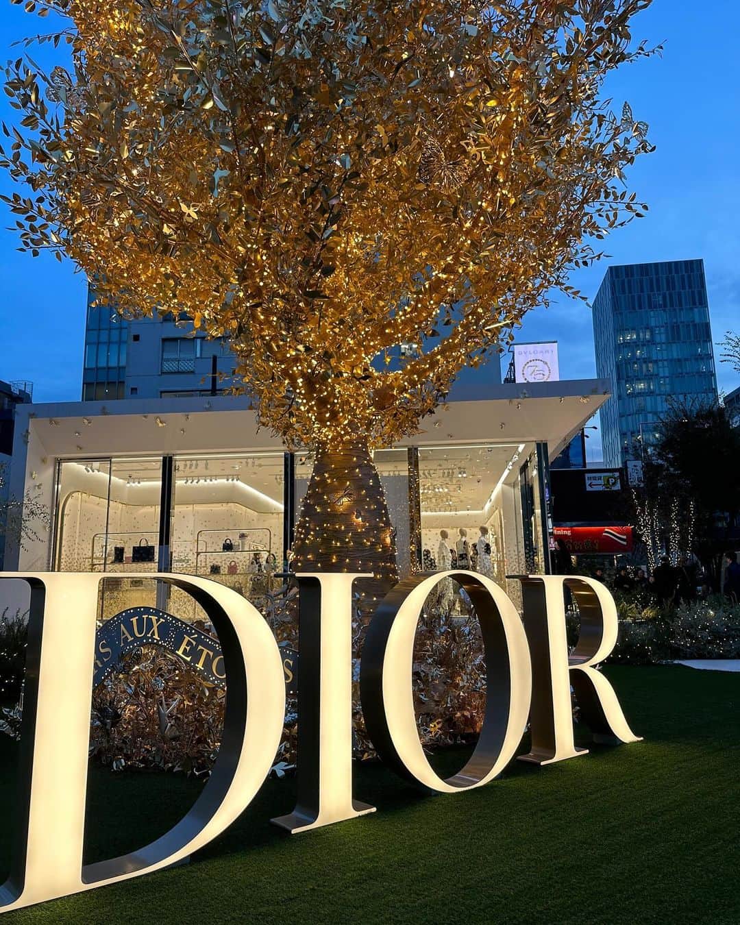 Fashion Headlineのインスタグラム：「表参道交差点で訪れる人を幻想的な場所へと誘う、ディオールのホリデー ポップアップ 会期:11月18日から12月25日まで →https://www.fashion-headline.com/article/298517 #Dior #diorcruise #diorcruise2023 #ディオールホリデーポップアップ #ディオールファインジュエリー」