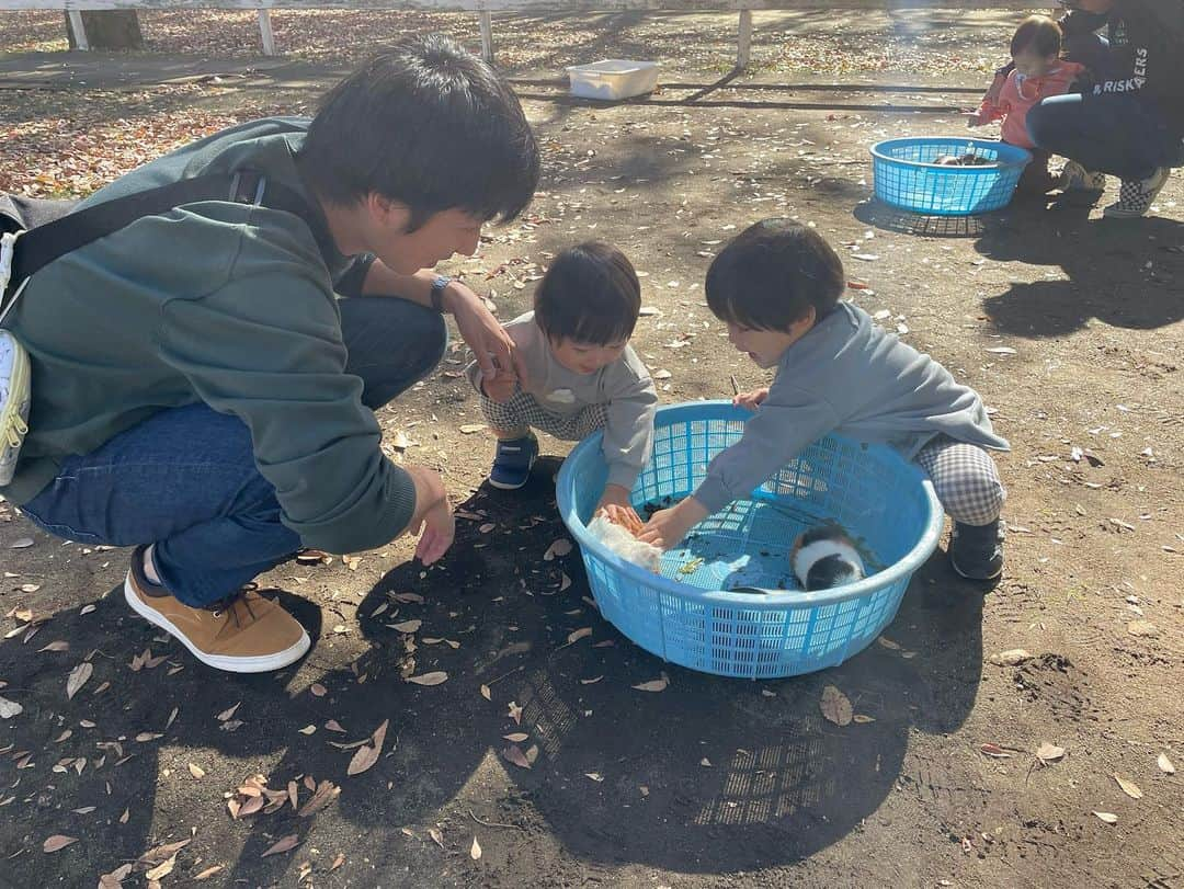 海老名市さんのインスタグラム写真 - (海老名市Instagram)「「えびな市民まつり2023」開催しています！   「ポニーふれあいランド（えびなポニー広場）」では、13時30分～15時までの間、ポニーや小動物と楽しく触れ合ったり、馬車や餌あげの体験ができます！   ぜひ、お越しください！   #好きです海老名 #住みたい住み続けたいまち海老名 #海老名 #神奈川 #ebina #えびな市民まつり #市民 #まつり #祭り #秋 #ポニーふれあいランド #ポニー #小動物 #馬車 #餌あげ #触れ合い #体験」11月19日 11時44分 - ebina_official