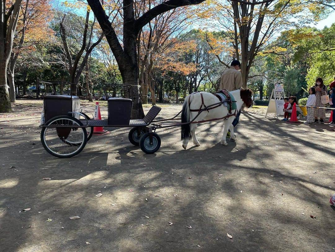 海老名市さんのインスタグラム写真 - (海老名市Instagram)「「えびな市民まつり2023」開催しています！   「ポニーふれあいランド（えびなポニー広場）」では、13時30分～15時までの間、ポニーや小動物と楽しく触れ合ったり、馬車や餌あげの体験ができます！   ぜひ、お越しください！   #好きです海老名 #住みたい住み続けたいまち海老名 #海老名 #神奈川 #ebina #えびな市民まつり #市民 #まつり #祭り #秋 #ポニーふれあいランド #ポニー #小動物 #馬車 #餌あげ #触れ合い #体験」11月19日 11時44分 - ebina_official