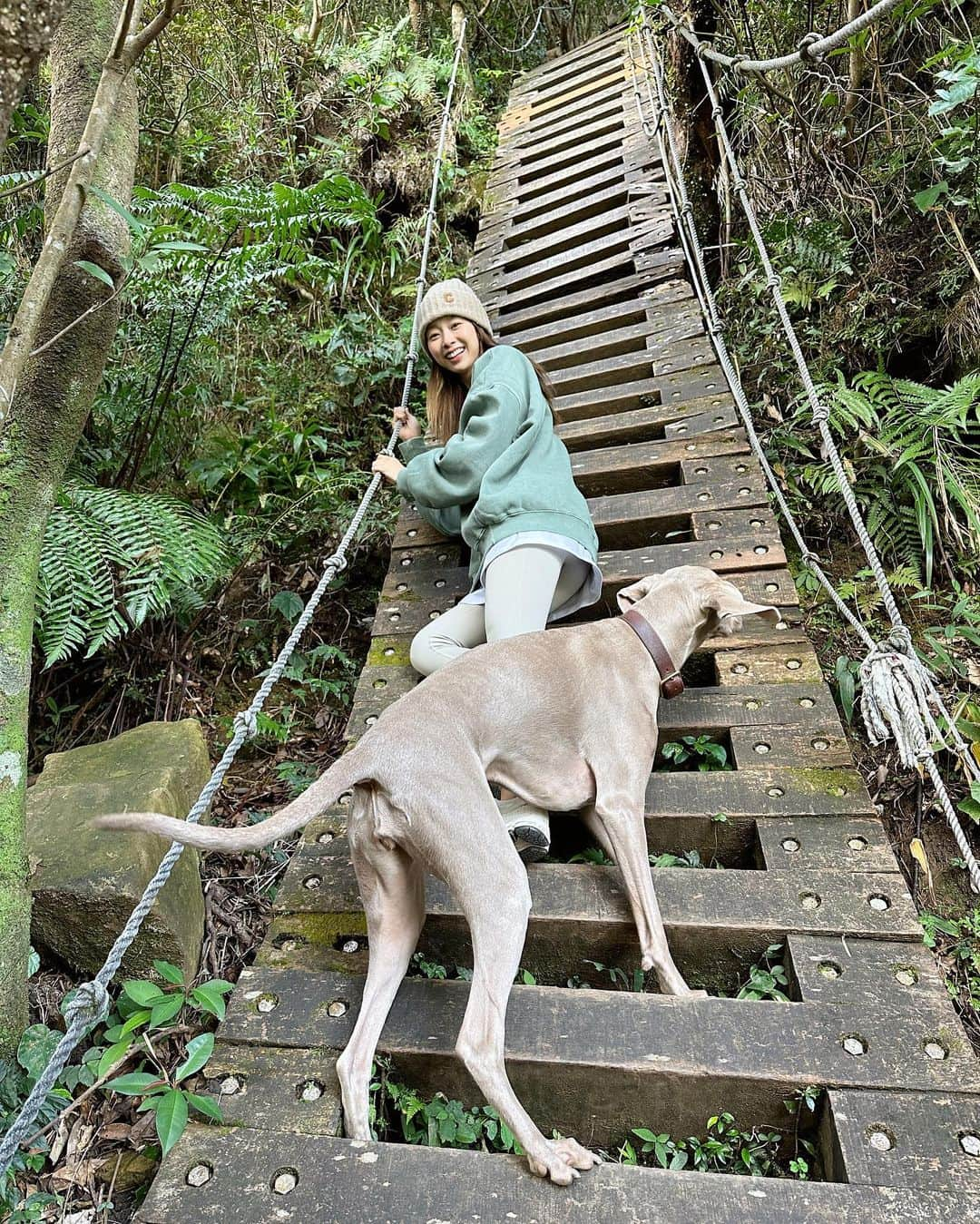 吳斐莉さんのインスタグラム写真 - (吳斐莉Instagram)「昨天臨時起意去爬山～ 想說讓公婆帶我們去難一點的步道 沒想到直接帶我們去獅頭山爬天梯🤣 那個陡的角度真的接近90度 不過因為有Uma在 所以就走了另一條原路折返走  在天梯時我喊聲Uma 她居然超大膽的往上衝 但她後來回頭看發現不對勁 腳就開始大發抖(狗狗都有懼高症) 然後不知道該怎麼爬下去 最後是我扶著她讓她慢慢往下走的  被Uma逗笑了🤣  這禮拜健身5天 1天爬山 完美啊💕」11月19日 12時00分 - wufeili