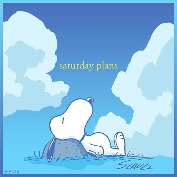 スヌーピーのインスタグラム：「Saturday plans」