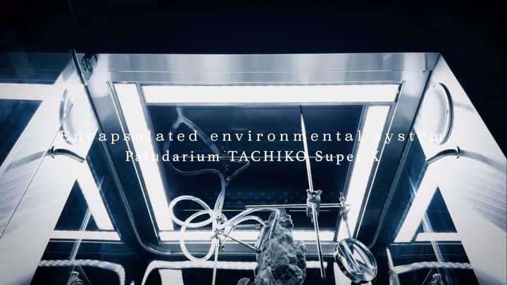 東信のインスタグラム：「Encapsulated environmental system: Paludarium TACHIKO Super X 【密閉型環境実験システム・パルダリウム刀子・スーパーエックス】  Size: W840 x D900 x H2,100(mm)  Paludarium, a small conservatory invented in England in the 19th century, is a plant protection machine that has been later exhibited at the Paris Expo and such. This work “Paludarium TACHIKO” is a result of new interpretation of Paludarium, which is now equipped with various functions and transformed into a contemporary encapsulated environmental system. The machine takes in essential elements – water(rain and fog), wind, light and sound – by artificial means and completes a small world where its ecological cycle is condensed.  パルダリウムと呼ばれる小さな温室は19世紀のイギリスで発明され、その後パリ万博にも出展された植物保管機である。今回、このパルダリウムに新たな解釈を施し、さまざまな機能を装備することで密閉型環境システムとして現代に置き換えた作品が【パルダリウム刀子】である。 この装置の中で雨、霧、風、光、音という植物に必要不可欠な要素を人工的に取り入れることで、地球の生態系のサイクルを縮小した一つの小さな世界が完成する。  #azumamakoto #makotoazuma #shiinokishunsuke #amkk #amkkproject #東信 #東信花樹研究所 #flowerart #Paludarium #tachiko」