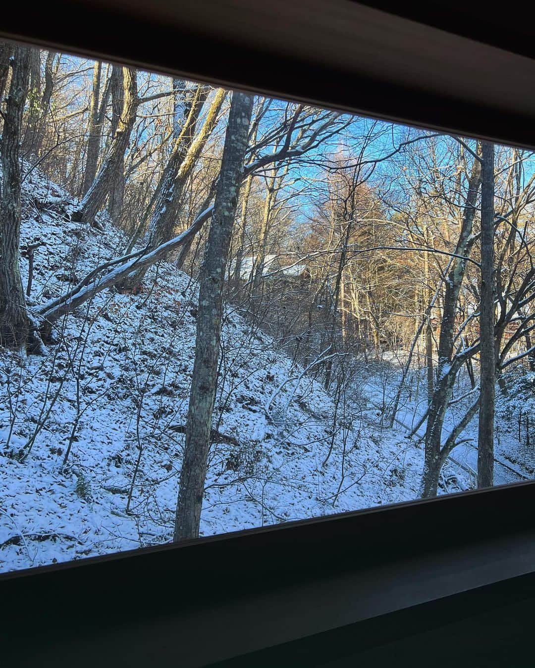 椎名直子さんのインスタグラム写真 - (椎名直子Instagram)「えー  まかさの  雪、、、  わーい」11月19日 9時02分 - natadecoco