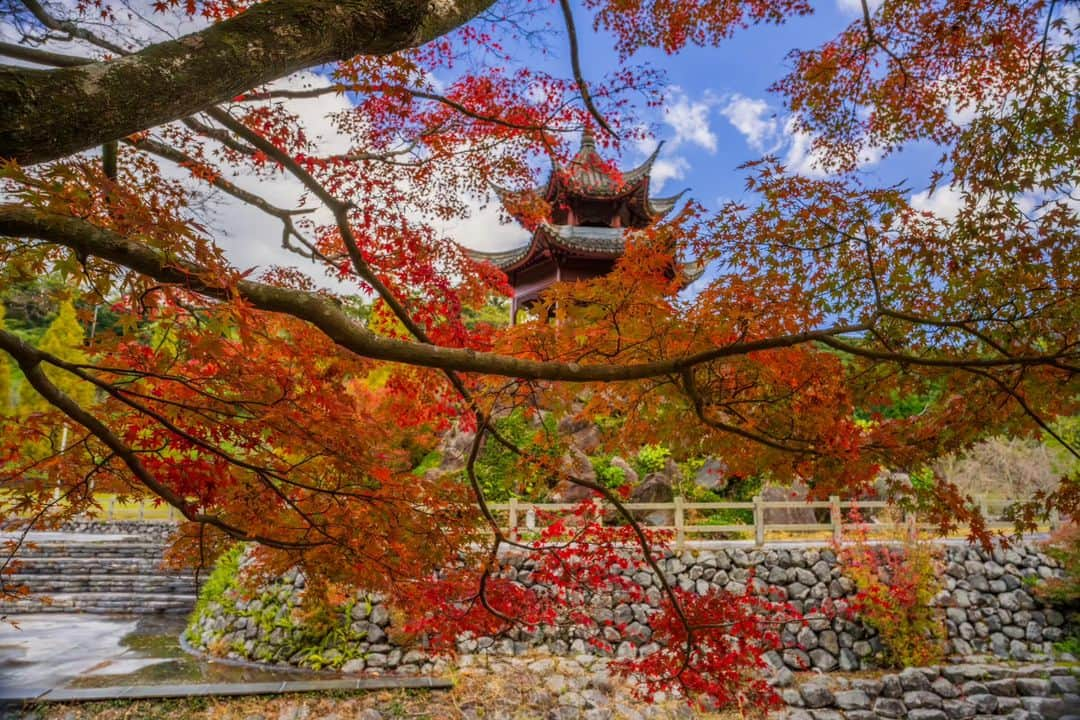 鹿児島よかもん再発見さんのインスタグラム写真 - (鹿児島よかもん再発見Instagram)「冠岳の麓にある冠獄園望獄亭へ＼(^o^) R5/11/18  冠岳神社付近の紅葉は少しまだらというか見頃のものもあれば、まだまだのものも。  毎年のことですが、一度に見頃になるよりも、何度か足を運ぶ楽しみがあるということで、その時に見頃なものを楽しませてもらってます。  #鹿児島 #鹿児島観光 #いちき串木野市 #冠獄園  #冠岳神社 #紅葉 #鹿児島の風景  #鹿児島の自然  #kagoshima  #kagoshimaphoto  #kagoshimaphotograph  #kyushu  #冠獄園望獄亭」11月19日 9時29分 - kagoshimayokamon