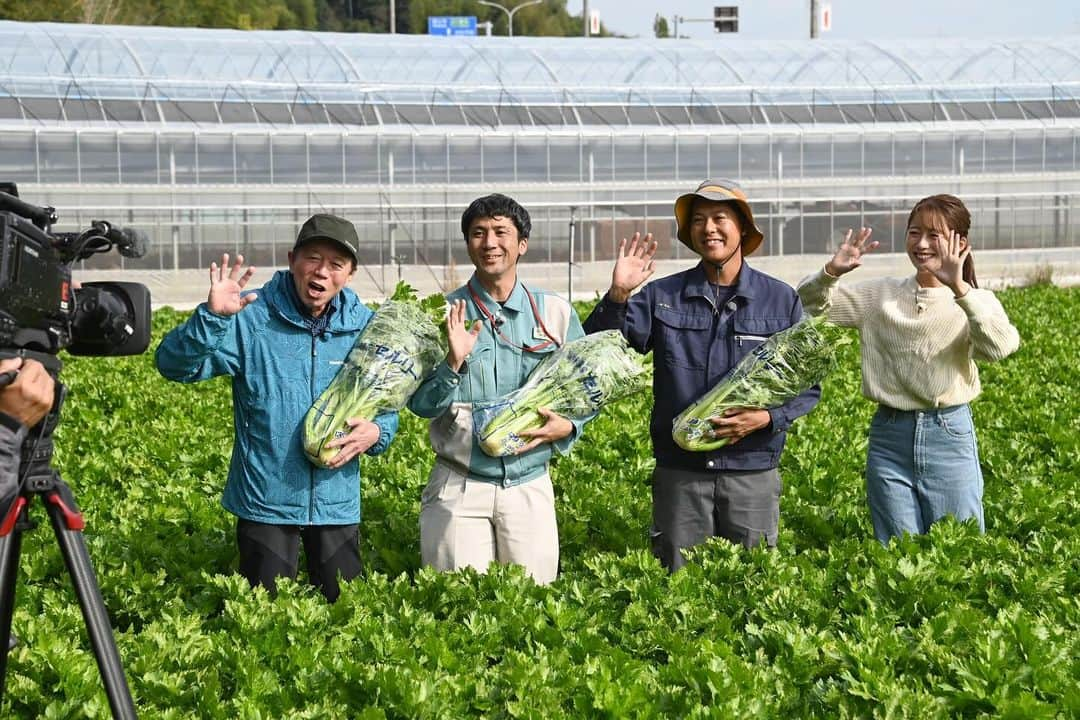 澤井志帆さんのインスタグラム写真 - (澤井志帆Instagram)「.2023.11.19  きょうのごちカンは、JAとぴあ浜松の「セルリー」💚✨ (セロリと呼ぶ方も多いかもしれませんね😉) シャキシャキで味もまろやか、すごく美味しいです🤍  収穫体験をさせていただき、セルリーを使った浜松餃子のアレンジレシピも教えてもらいました🍳🤍  午前11時40分〜放送です！ 見逃した方はDaiichi-TVの公式YouTubeチャンネル、または番組公式サイトから見逃し配信をチェックしてください✔️🩵  #DaiichiTV#アナウンサー#ごちそうカントリー#浜松#浜松市#セルリー#セロリ#セルリー料理#セロリレシピ#浜松餃子」11月19日 9時46分 - shiho_sawai