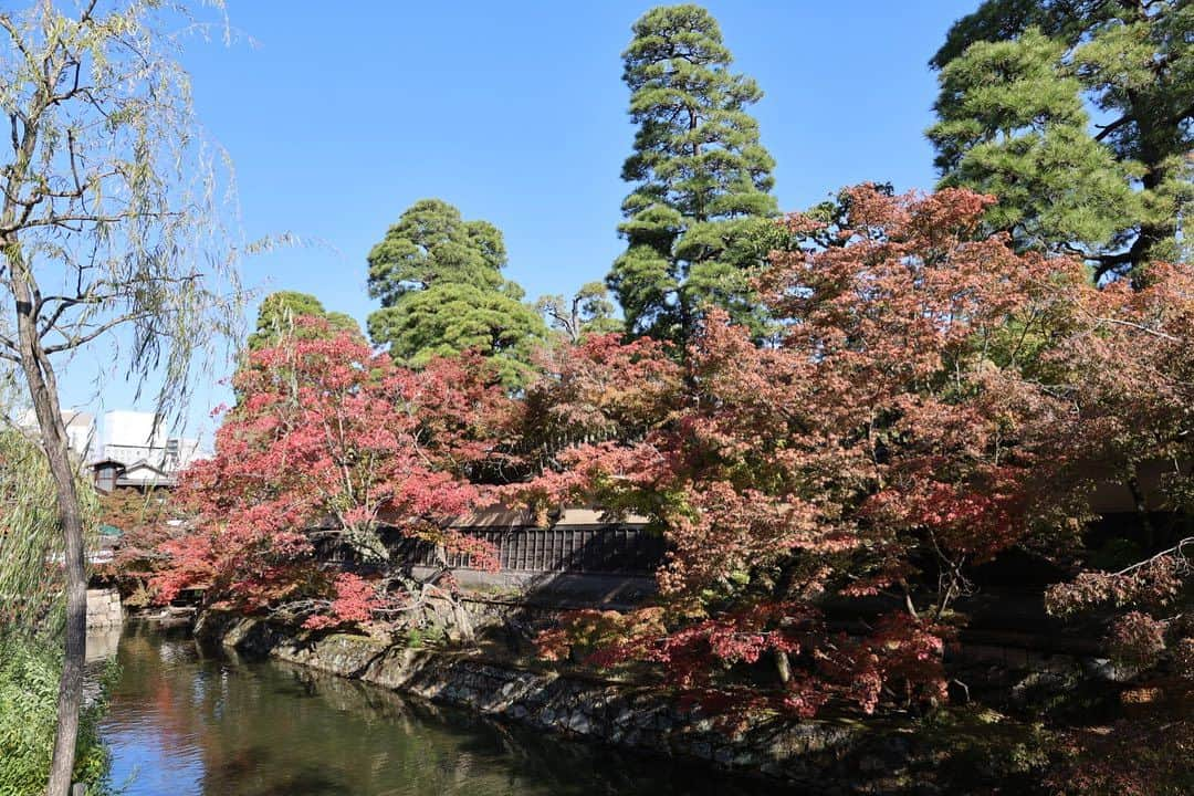 倉敷市さんのインスタグラム写真 - (倉敷市Instagram)「【倉敷美観地区　令和5年11月19日】  秋も深まってきましたね。 11月19日に倉敷美観地区を少し散策してみました。 青空が倉敷川に映り、とてもきれいでした。  #倉敷市 #倉敷 #kurashiki  #クラシキ文華 #クラシキブンカ #japan  #instgramjapan #美観地区 #倉敷美観地区 #bikanhistoricalquarter #oldhouse #白壁 #蔵 #運河 #canal #visitjapanjp #倉敷川　#倉敷館 #倉敷館観光案内所」11月19日 10時08分 - kurashiki_city